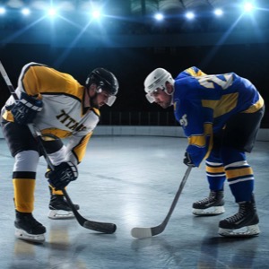 Ice hockey and ball hockey clubs and teams