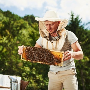 On-line prodej potřeb pro včelaře