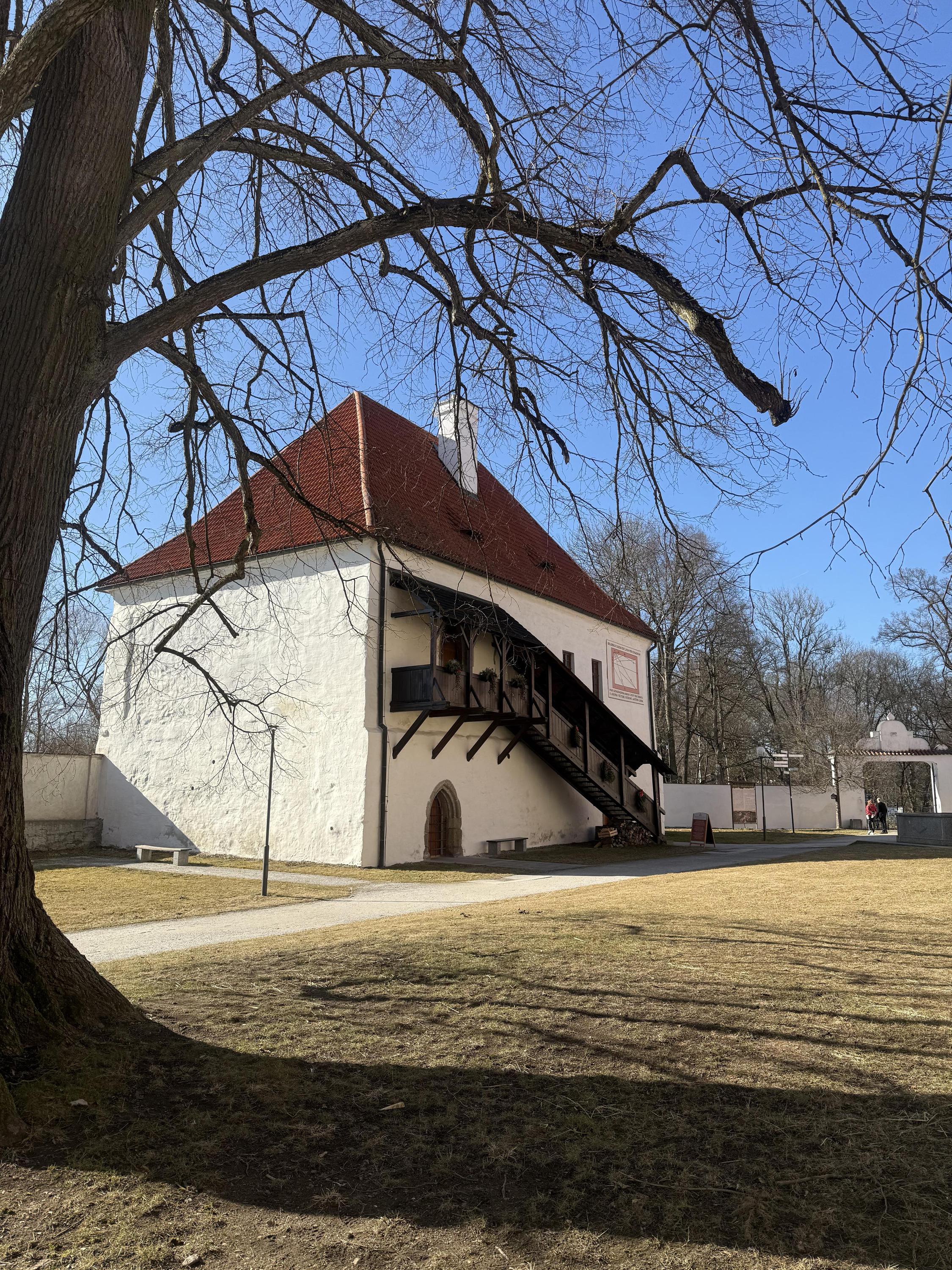 Kavárna Latinská škola foto 6