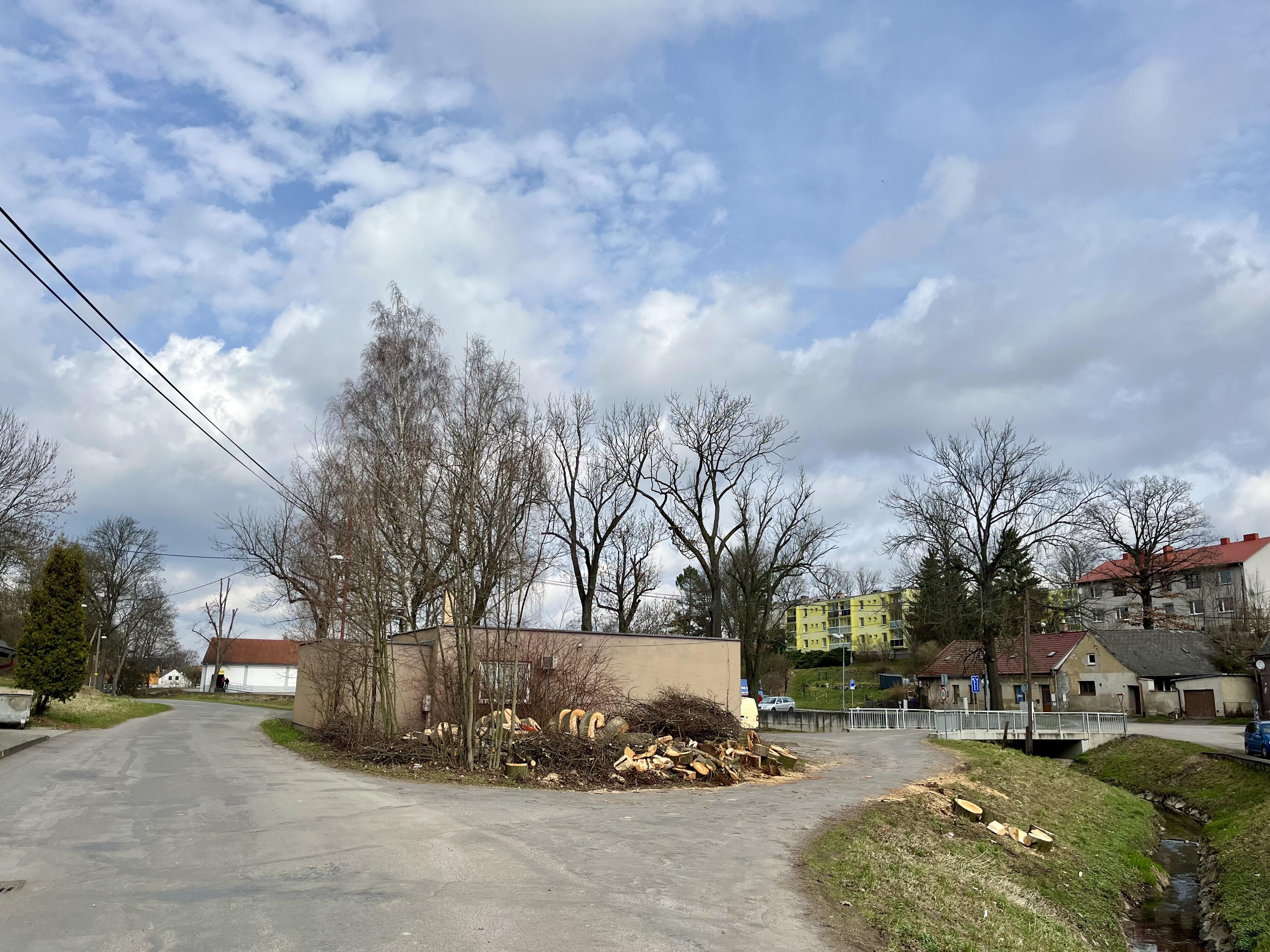 Lukáš Havelka - Rizikové kácení stromů foto 4