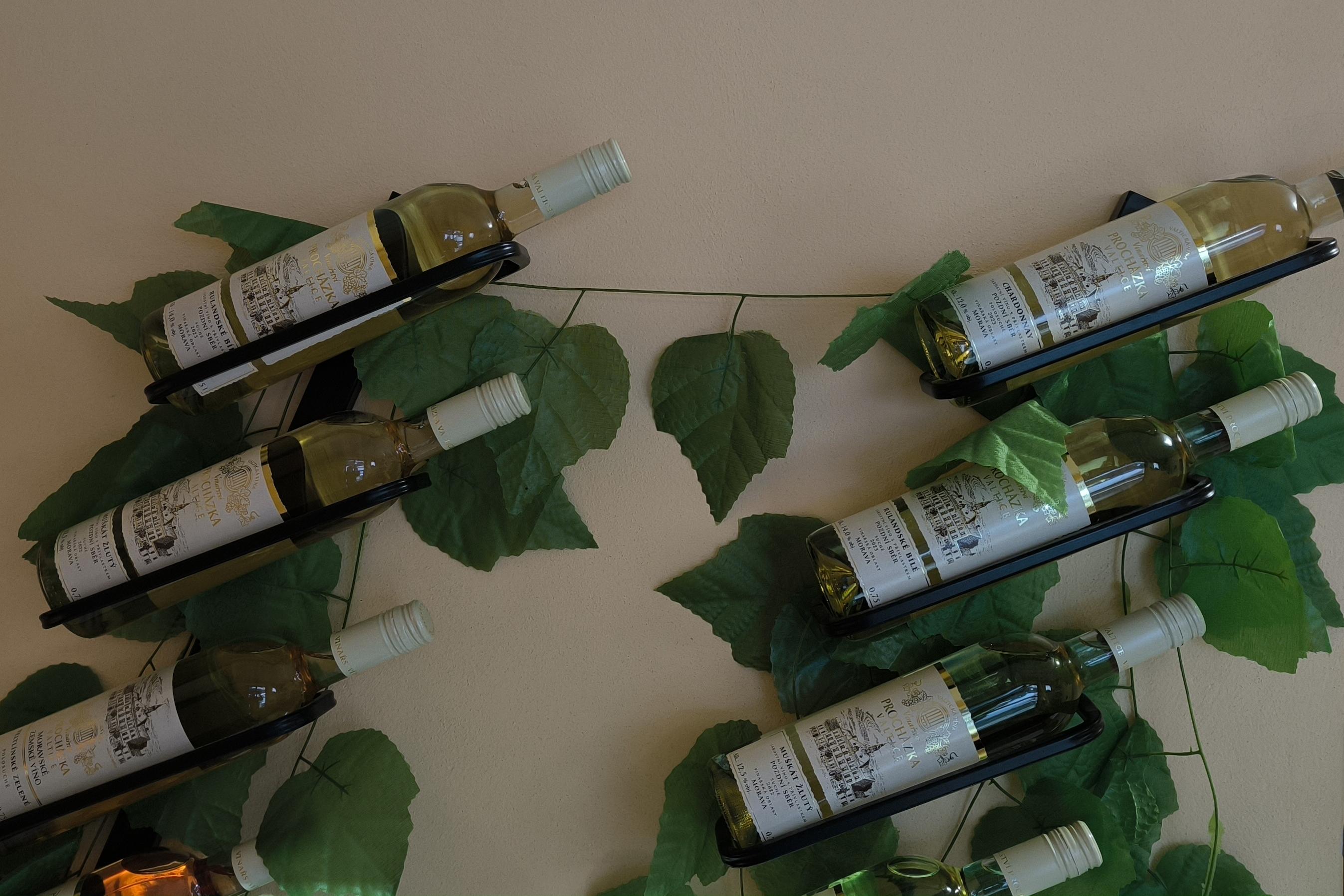 Kvalitní víno z Valtic.