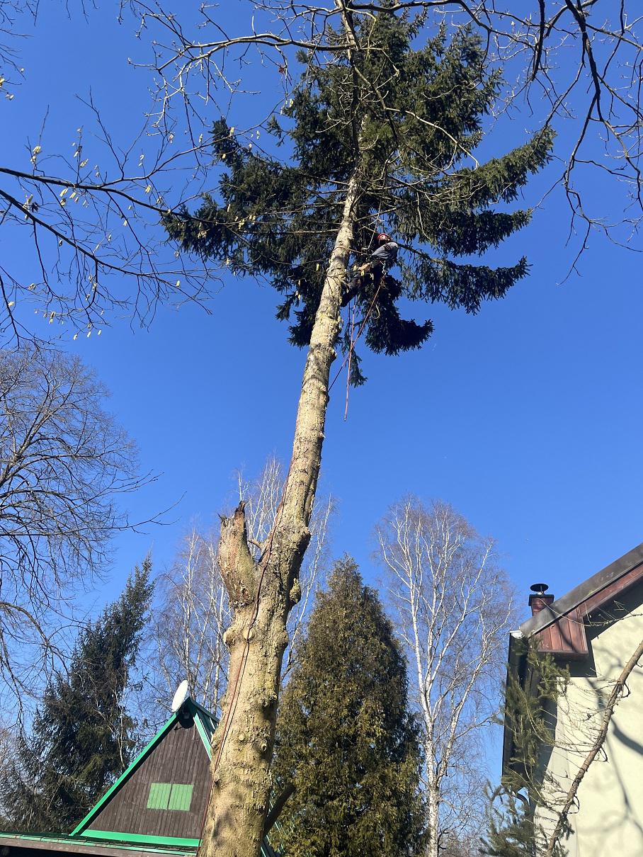 Rizikové kácení Jan Barsony Linhart foto 6