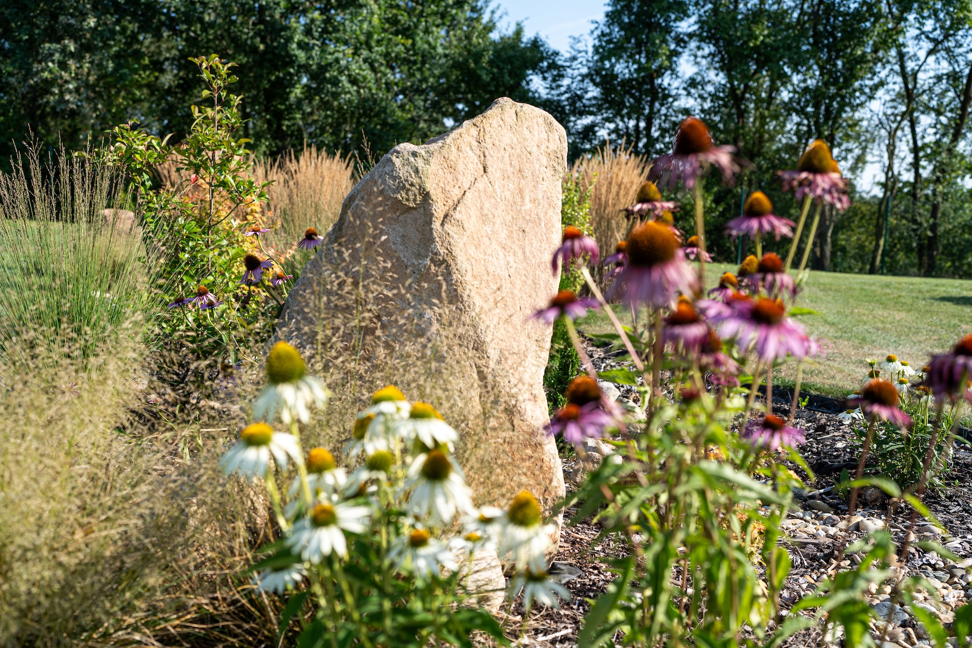 Koťátko s.r.o. foto 4