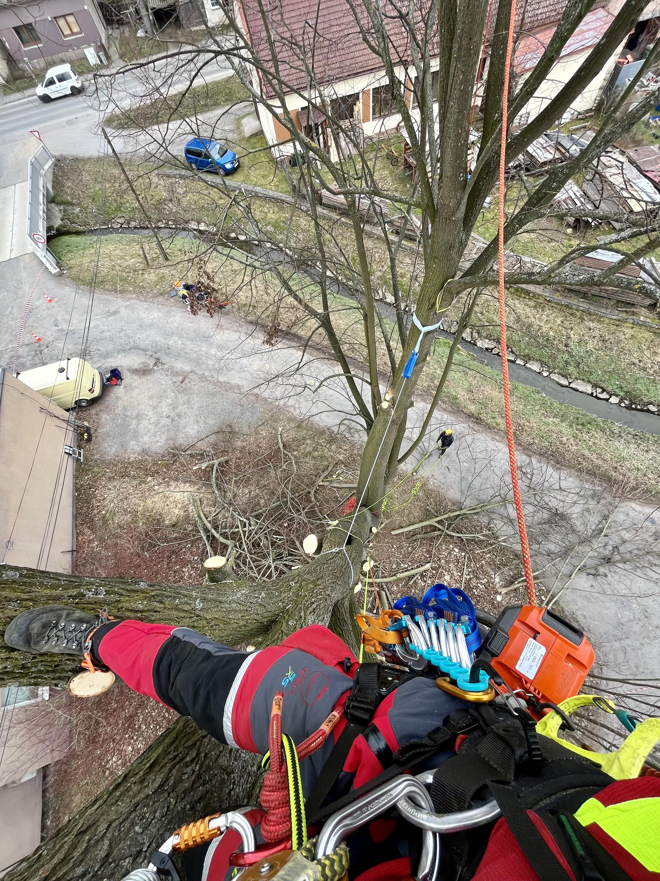 Lukáš Havelka - Rizikové kácení stromů foto 3