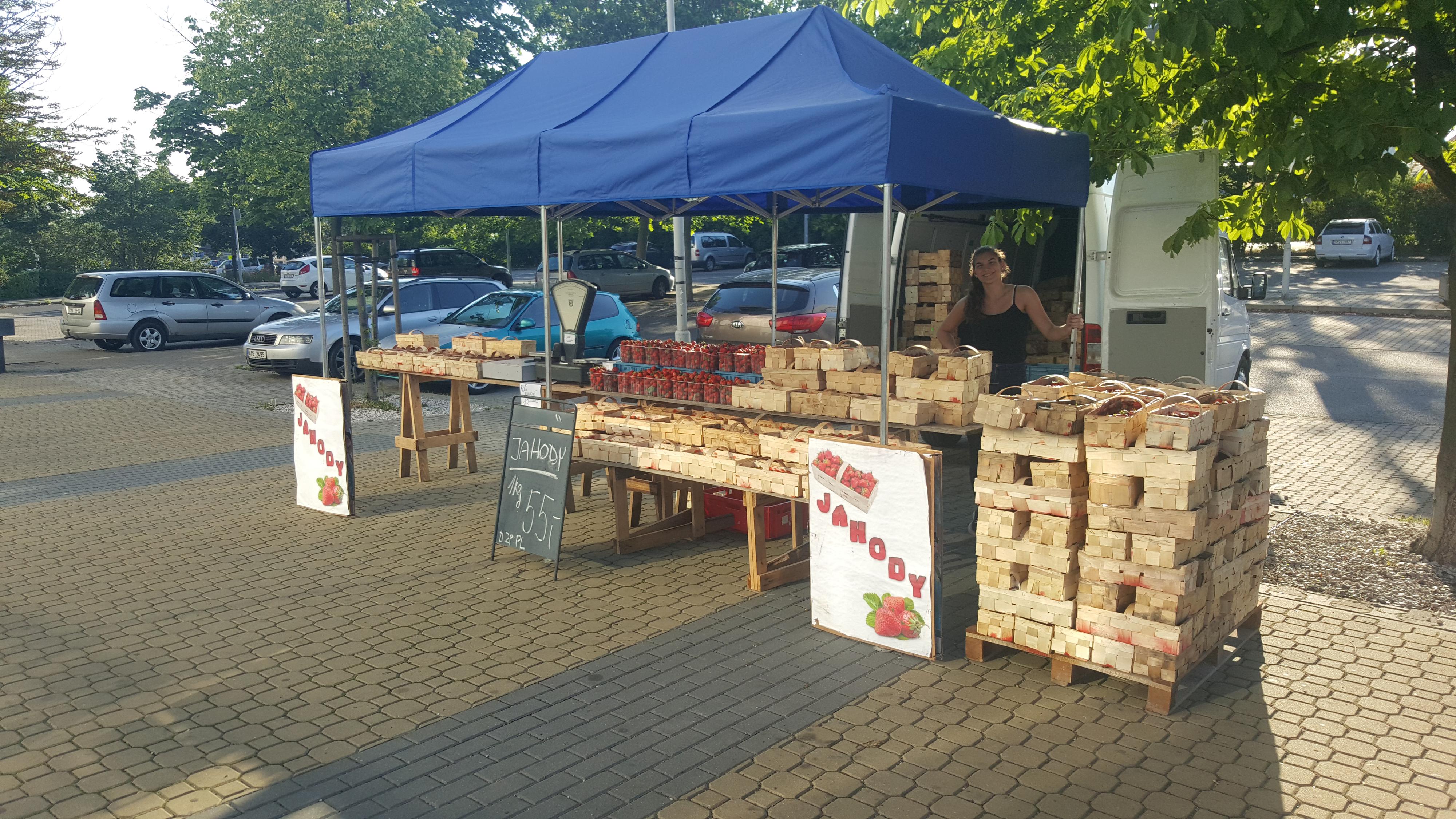 Jahody Plzeň foto 3