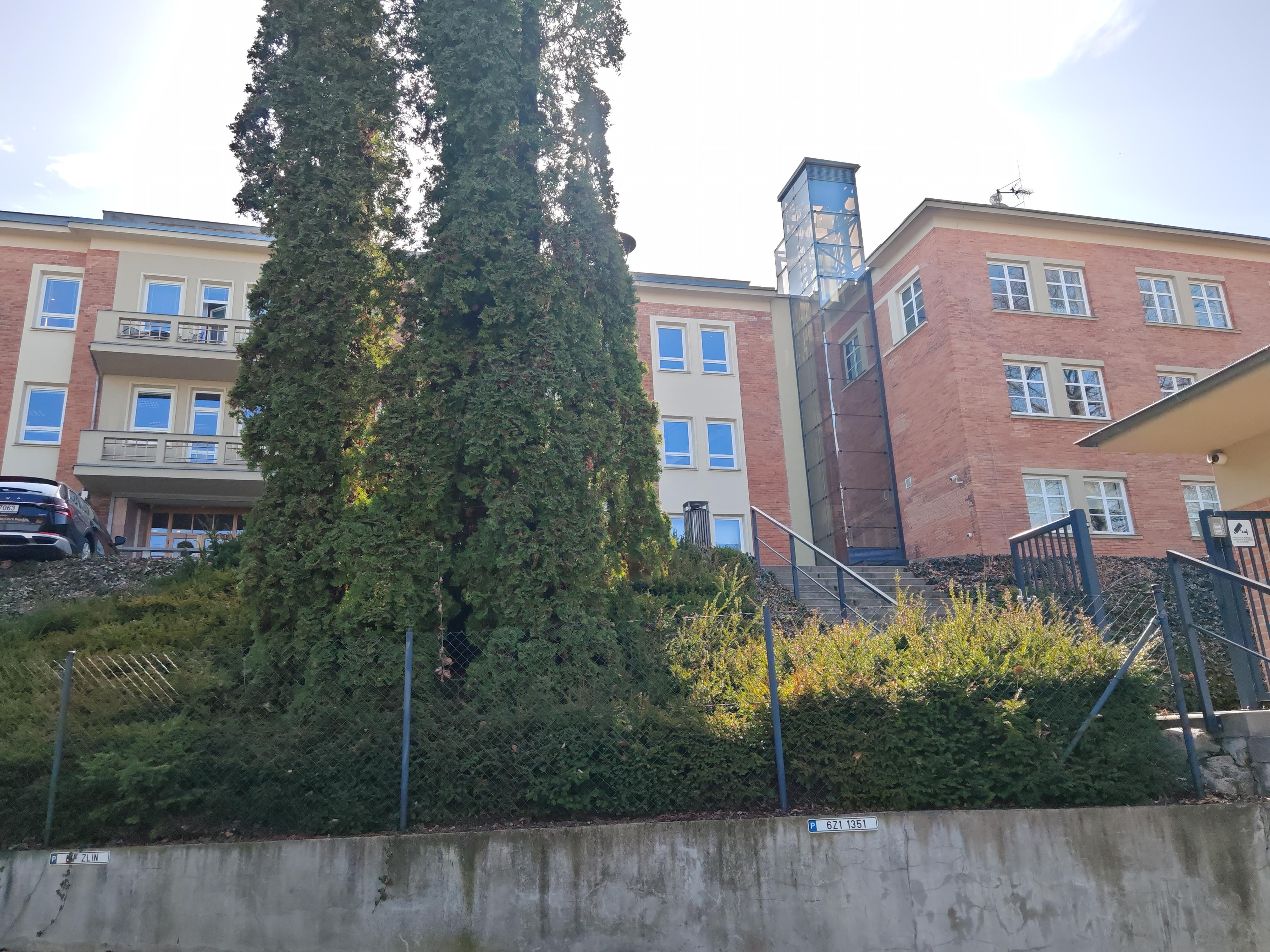 Lékárna Tomášov foto 5