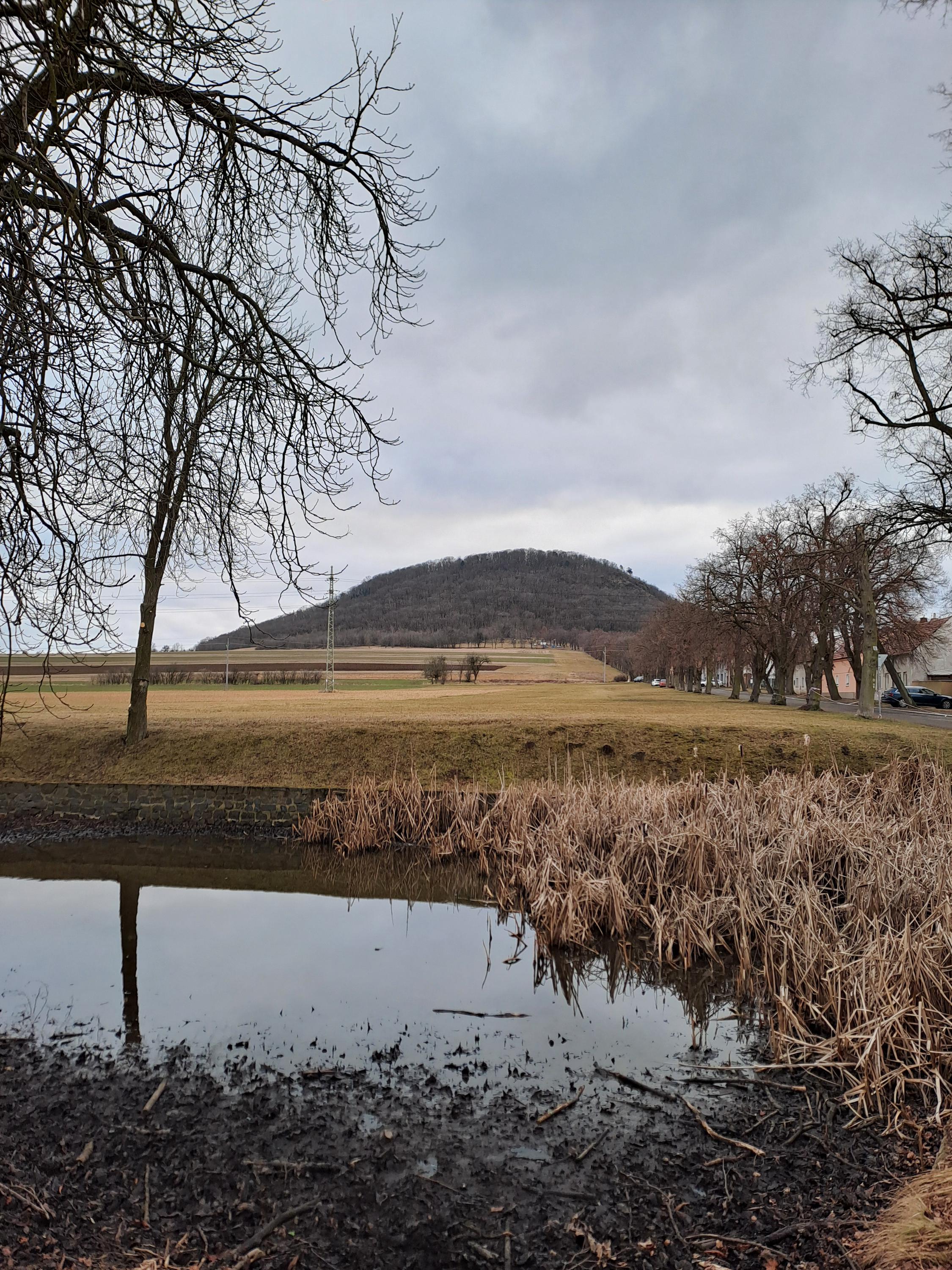 KÁVAvan foto 6
