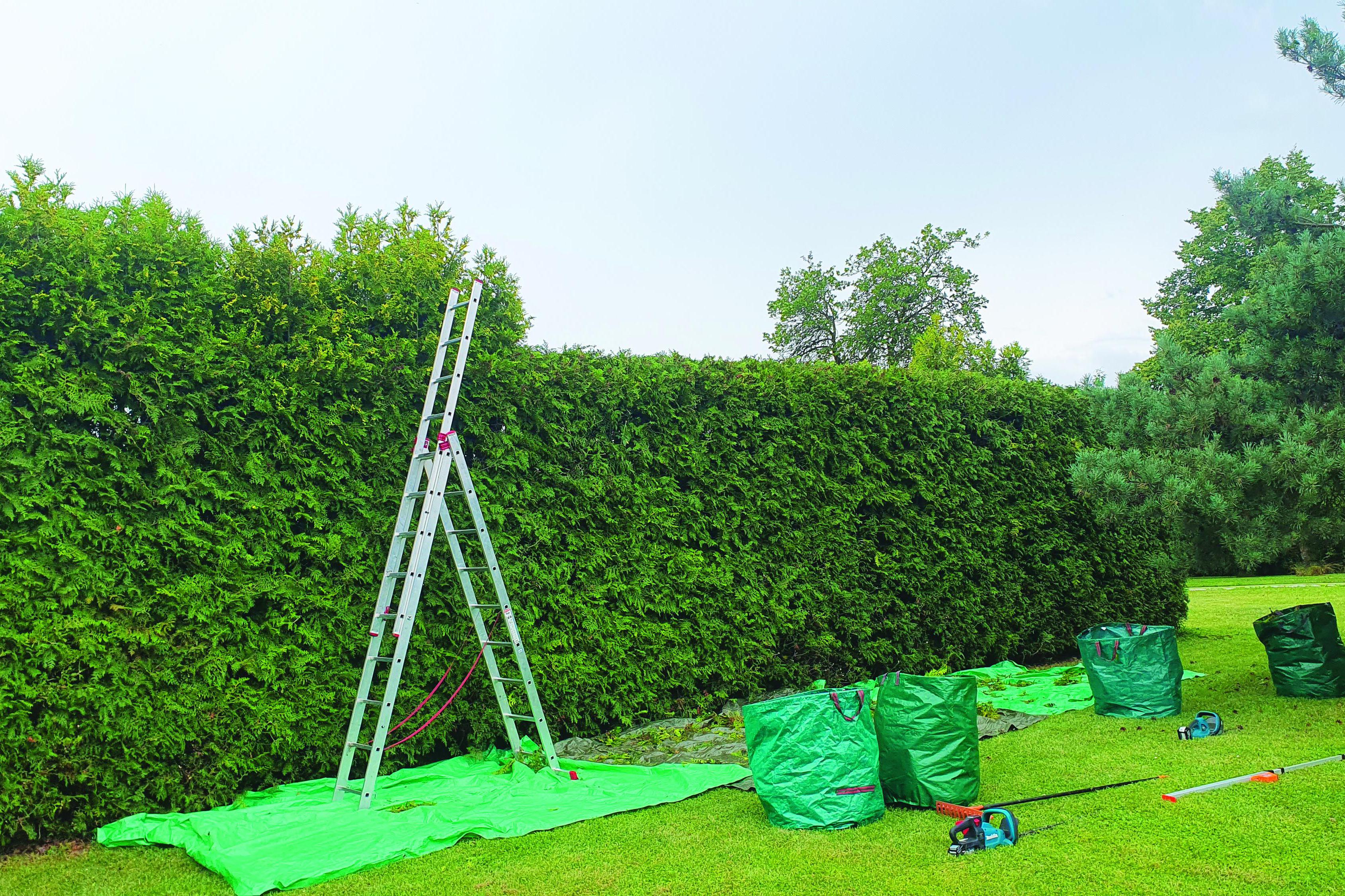 Ostříháme vám živé ploty