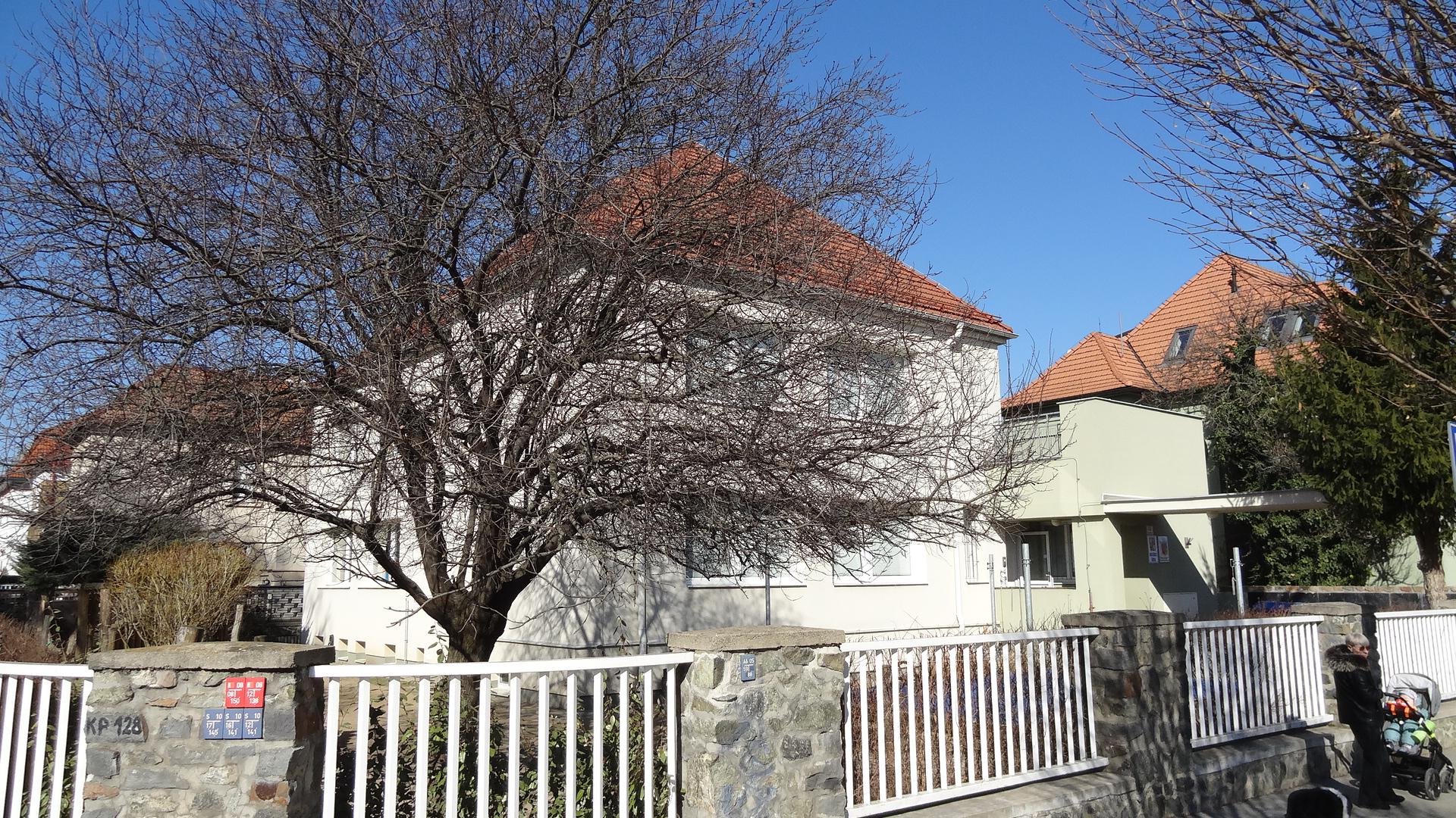 MŠ Brno, Dobrovského foto 2