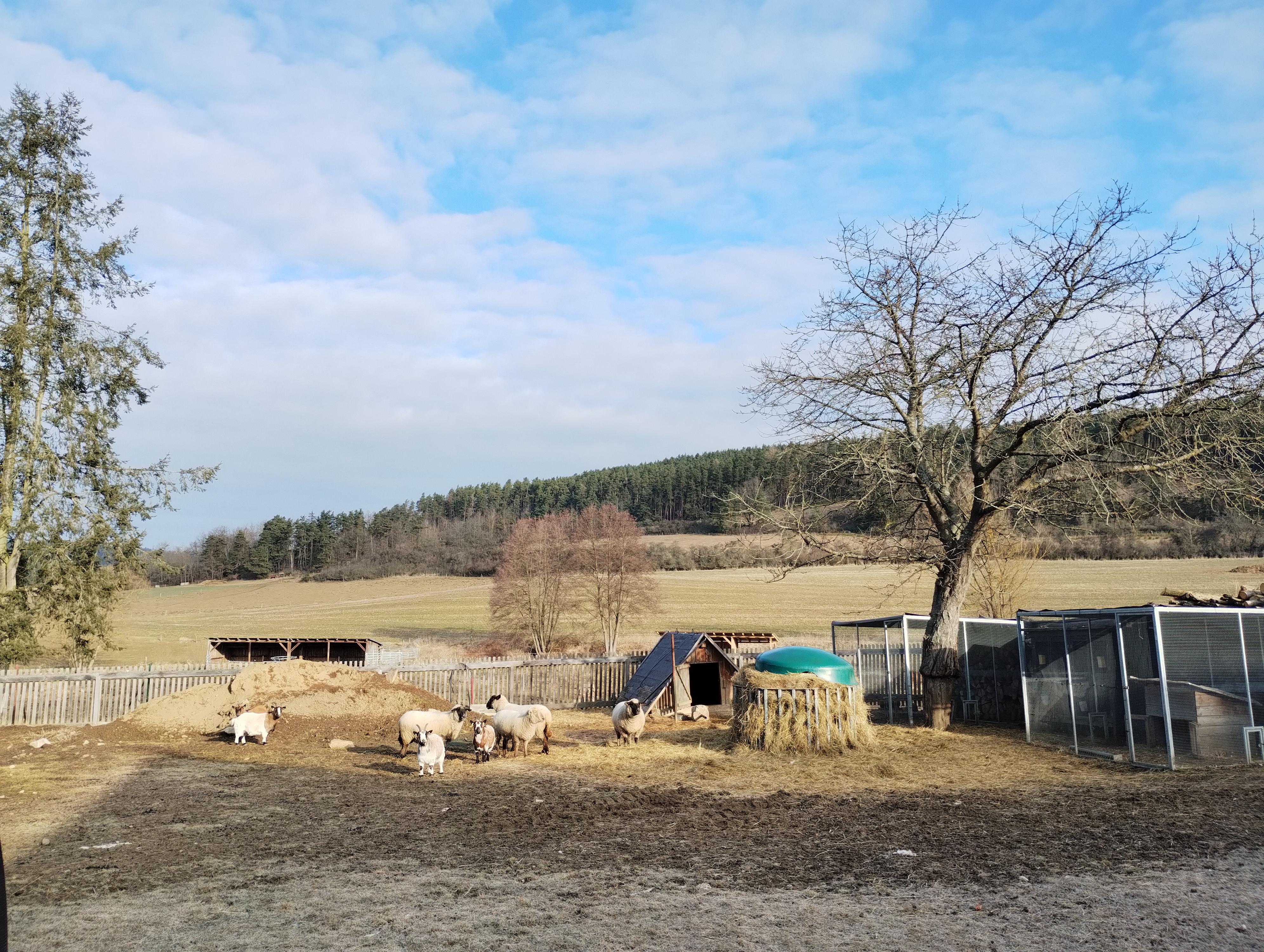 Statek Straňovice foto 2
