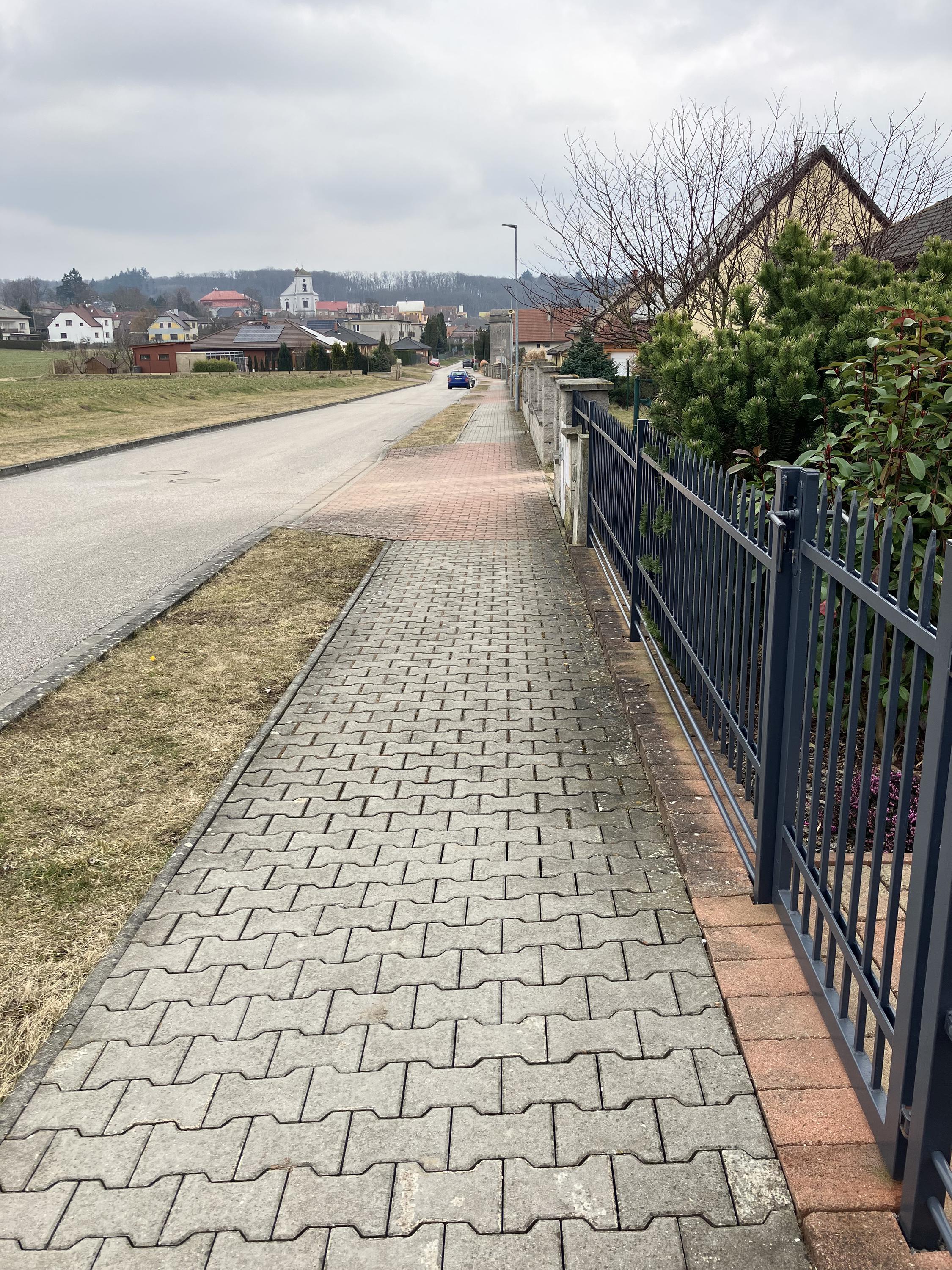 Konzultační činnost Dana Svitáková foto 2