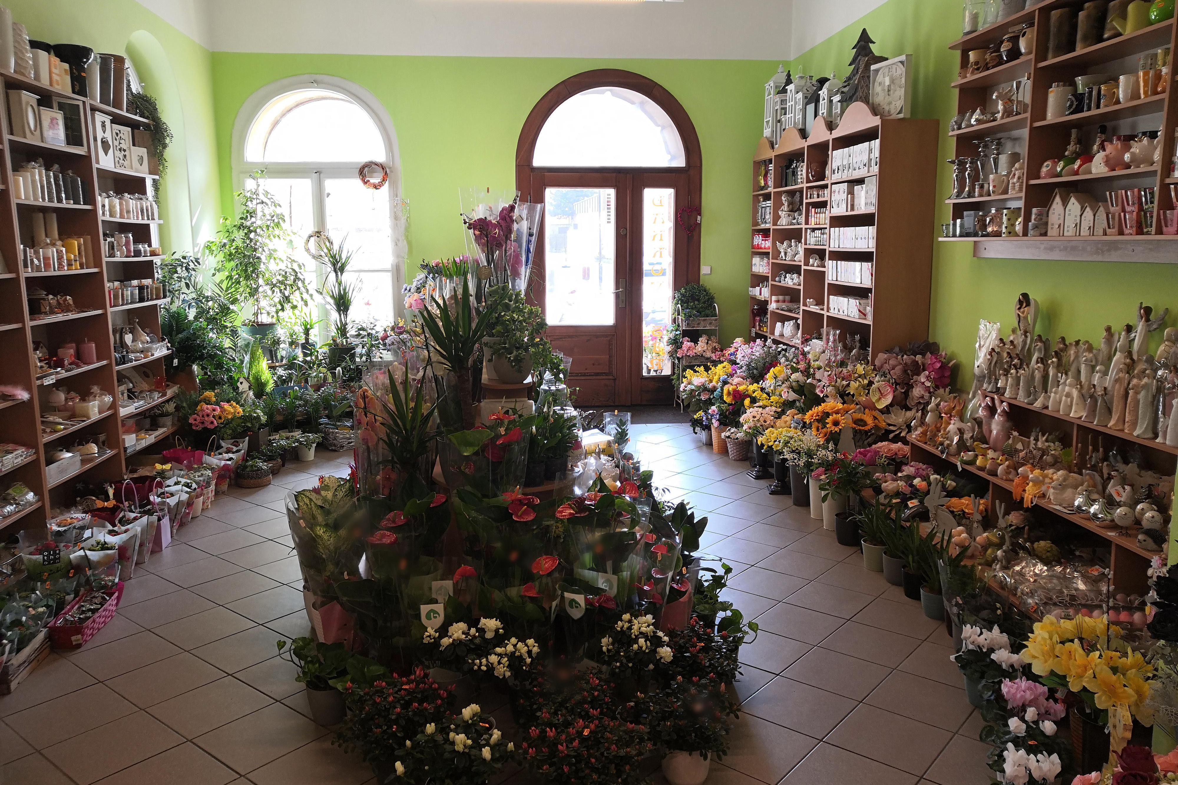 Květinářství  Kamélie