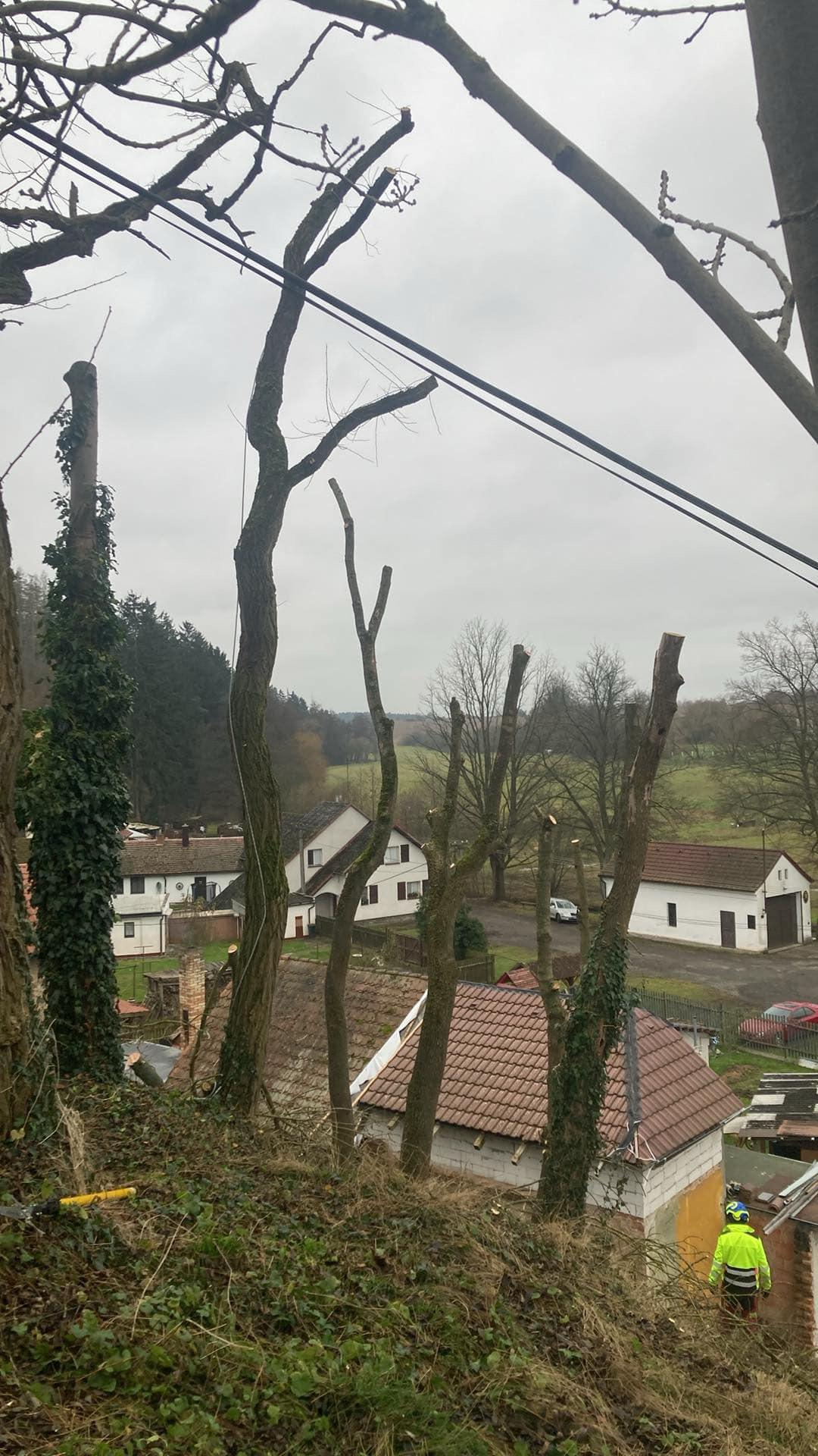 Bronislav Říčka - Rizikové kácení, údržba zeleně foto 5