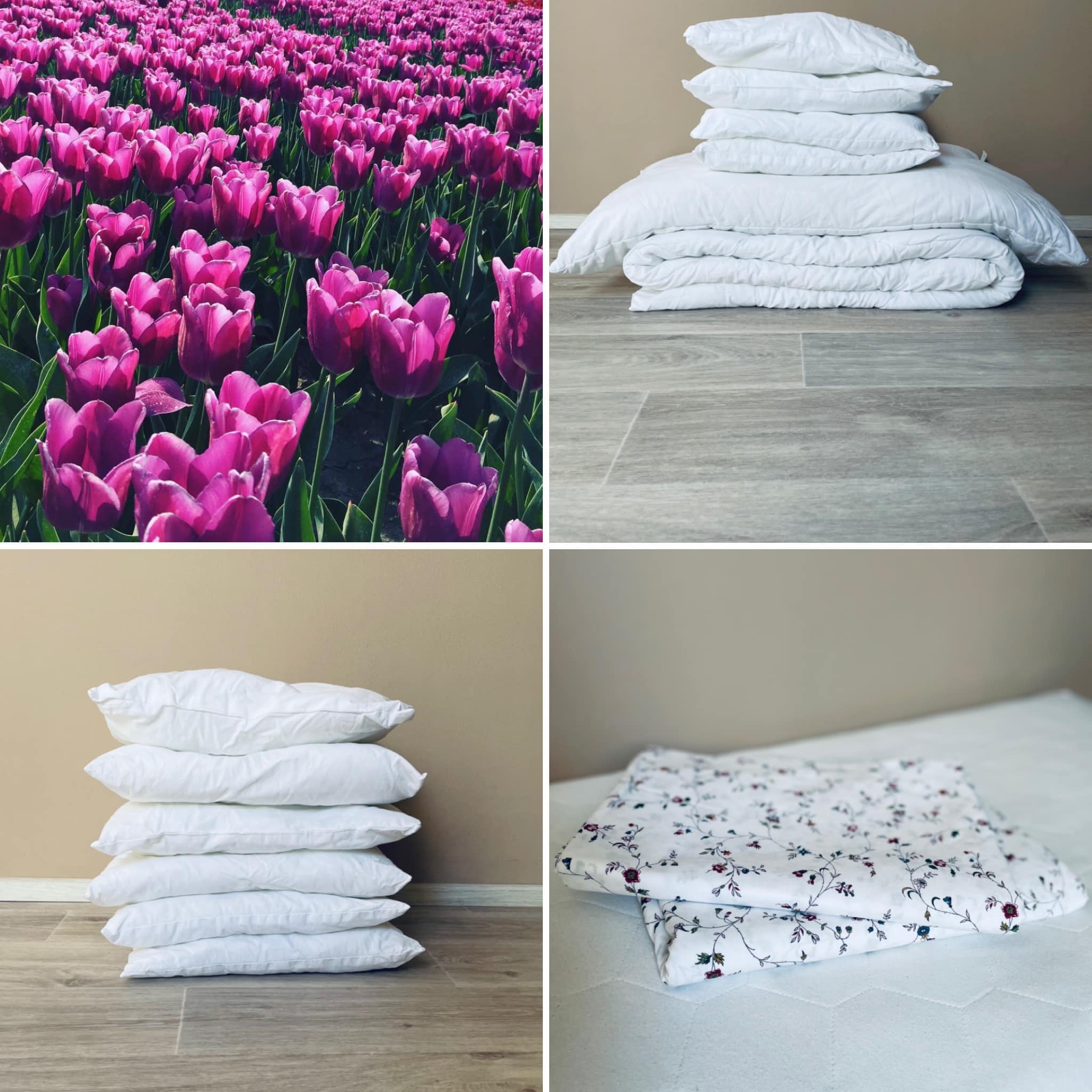 KFM-Prádelny s.r.o. foto 3