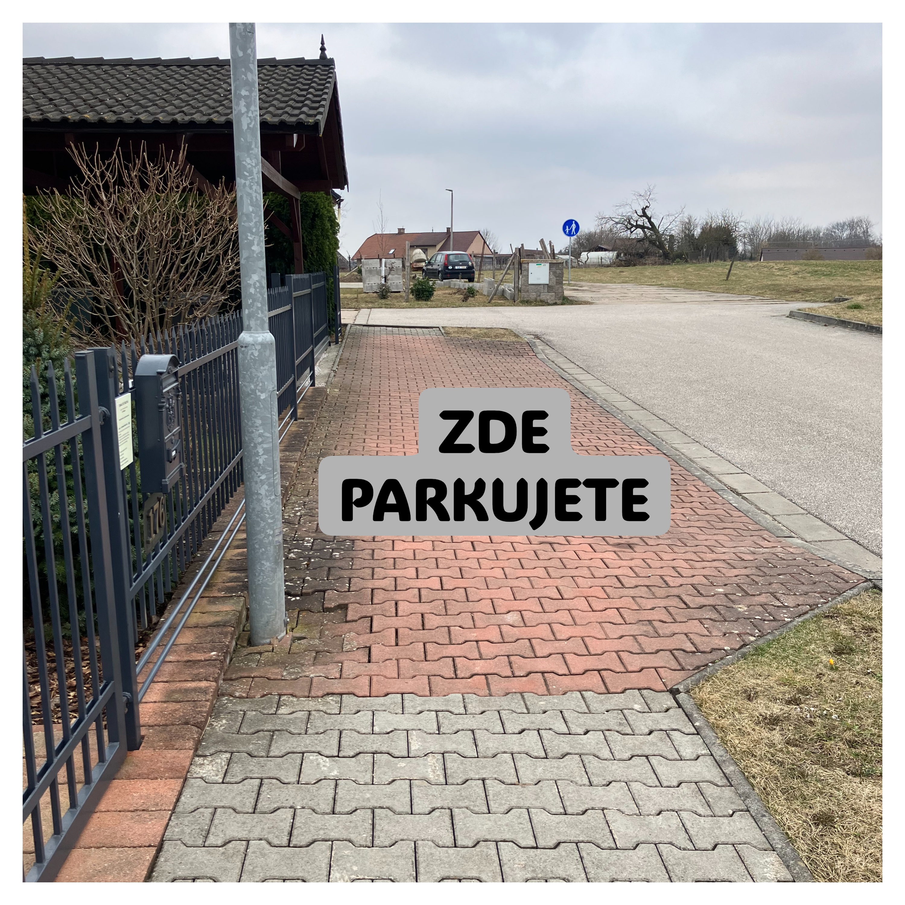 Konzultační činnost Dana Svitáková foto 3