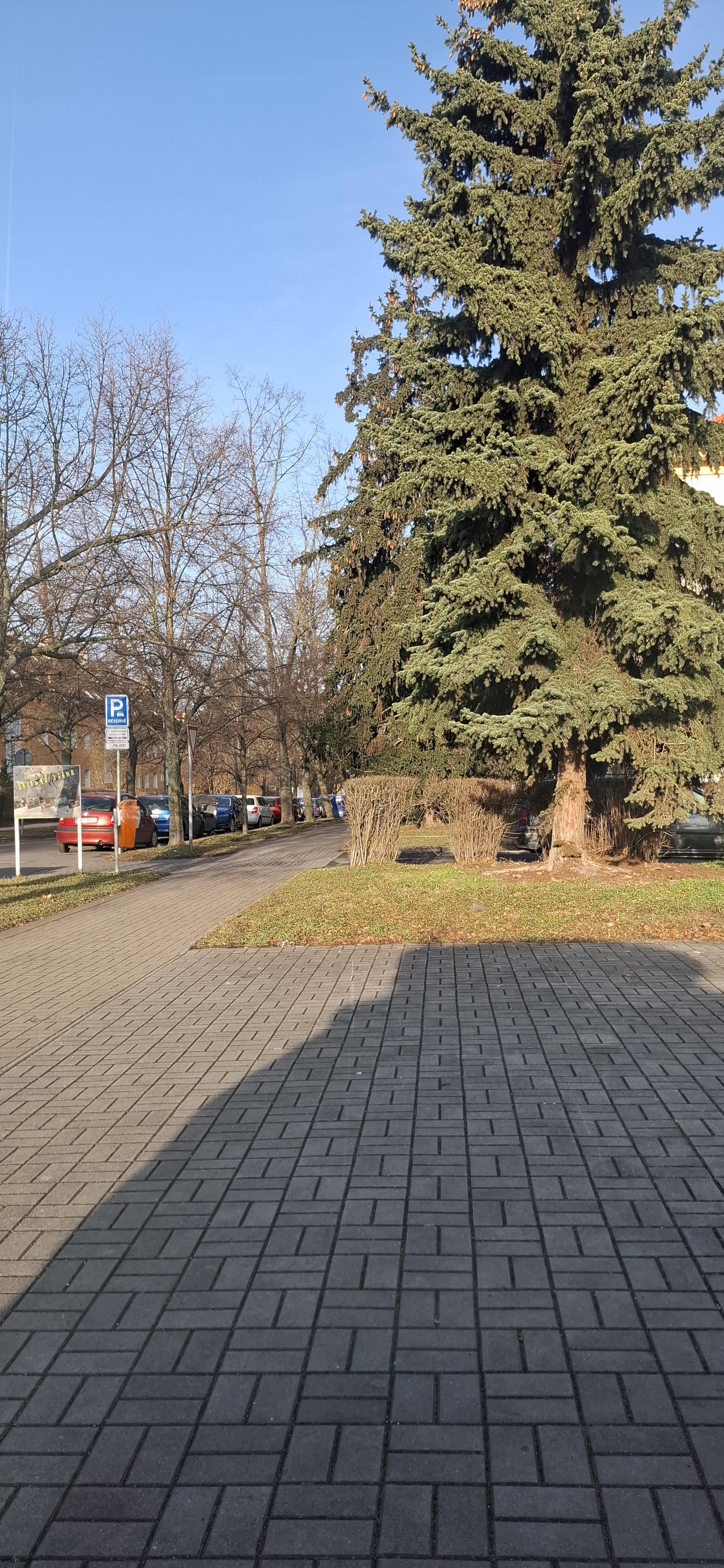 Nalepimefolie.cz foto 1