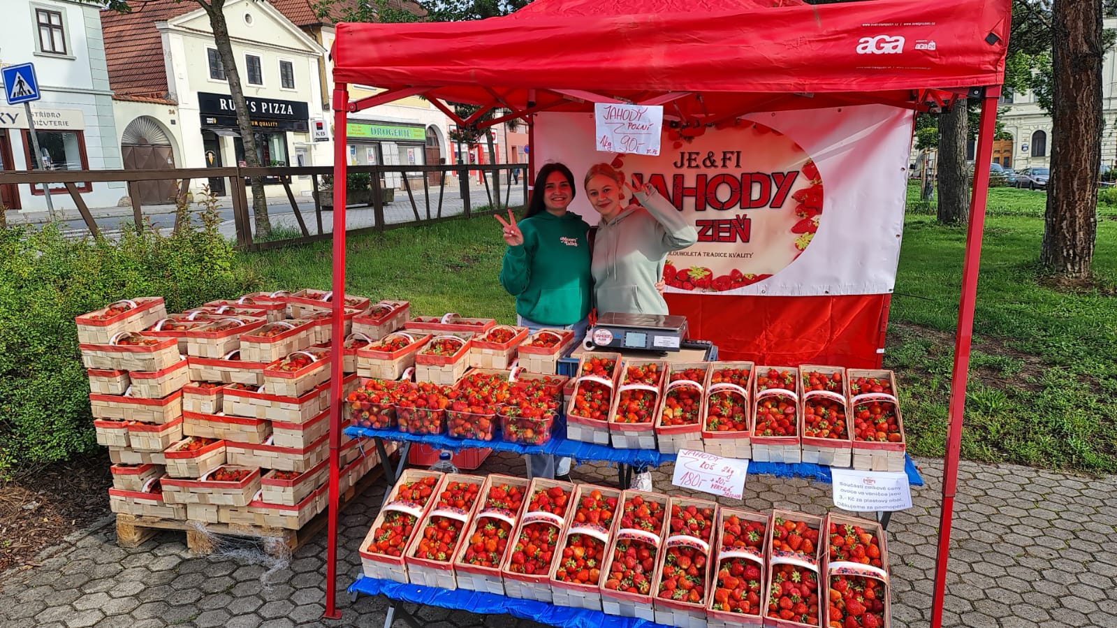 Jahody Plzeň foto 4