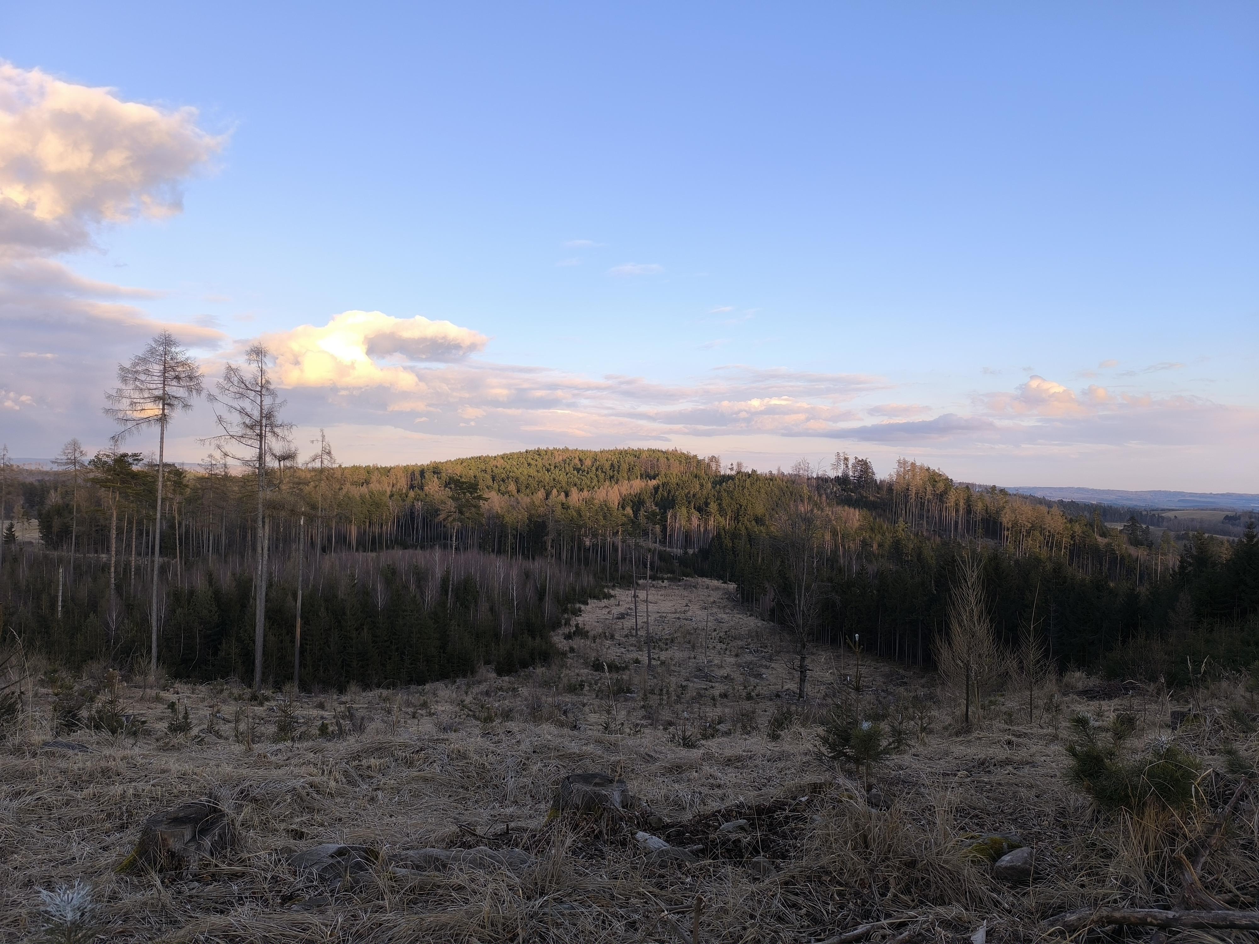 Práce v lesnictví Ondřej Bodocký foto 2