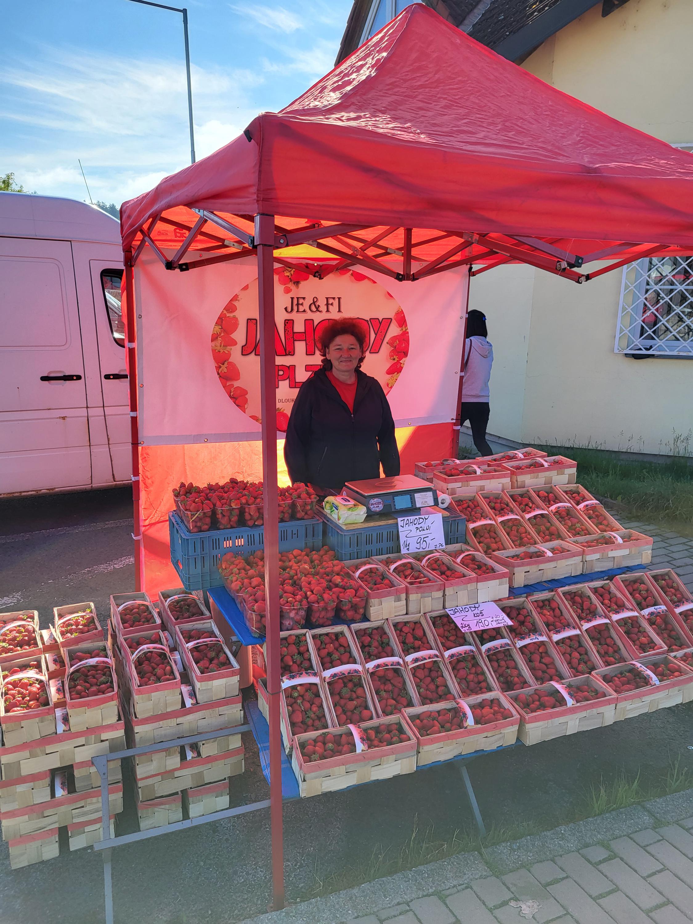 Jahody Plzeň foto 5