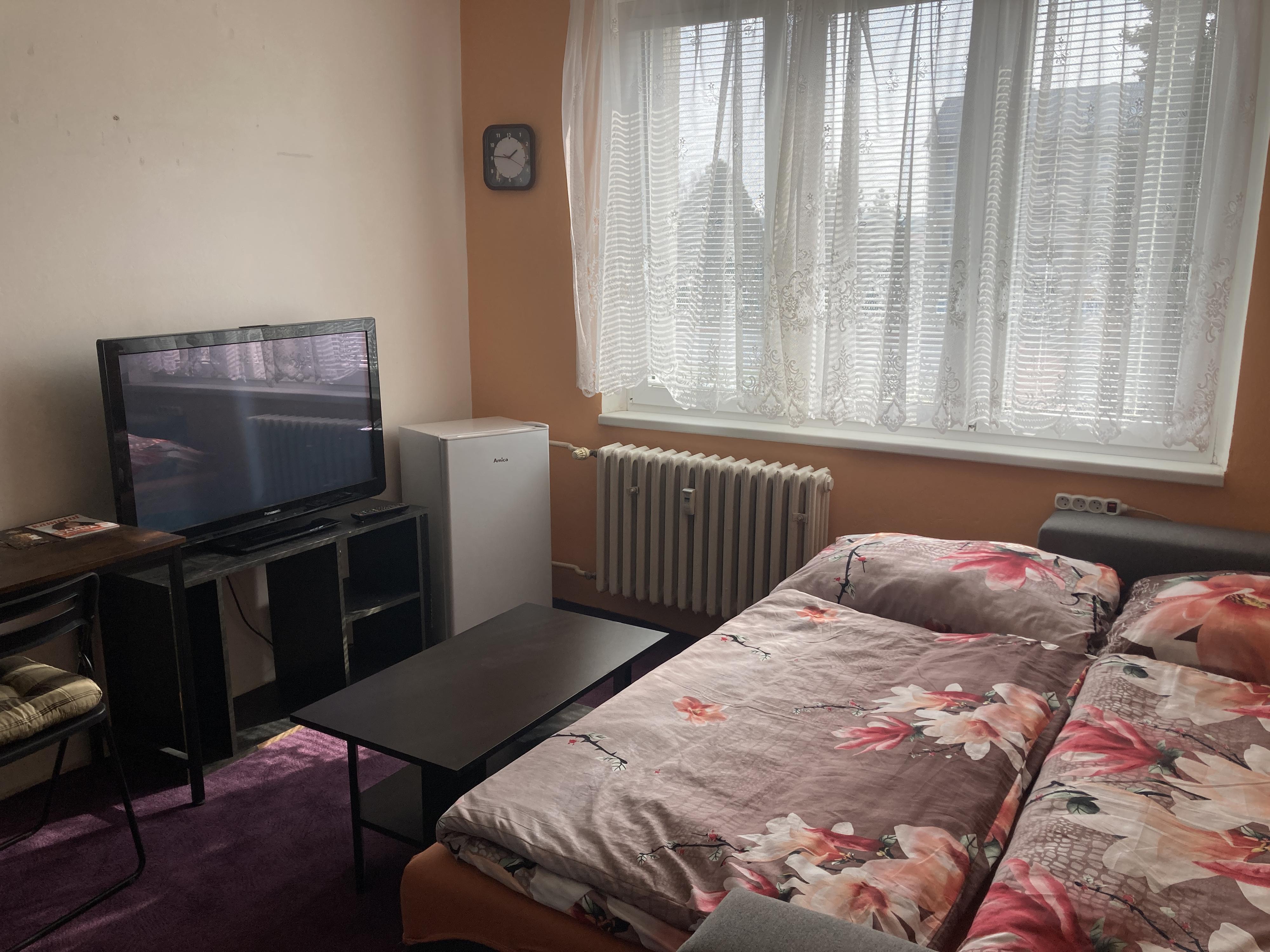 Garsoniera U Lesoparku foto 2