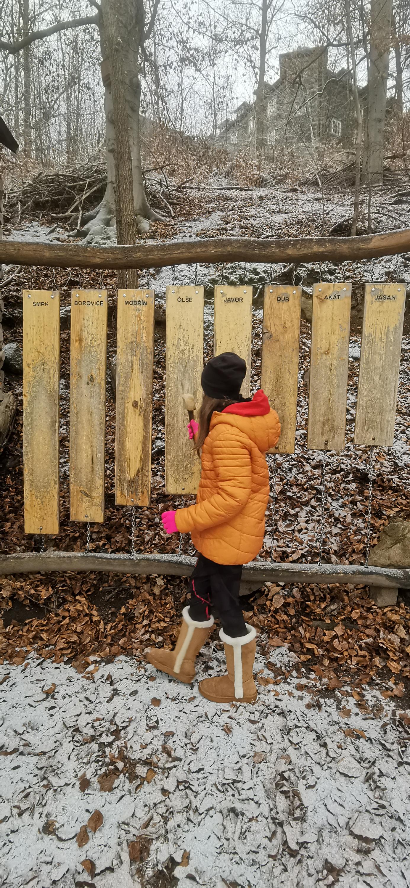 Hlídání dětí Vysočina foto 4