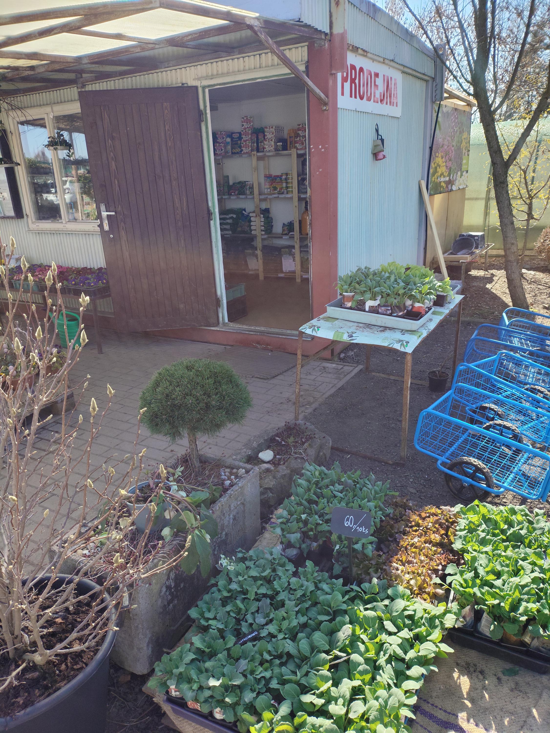 Zahradnictví Kukleny foto 5