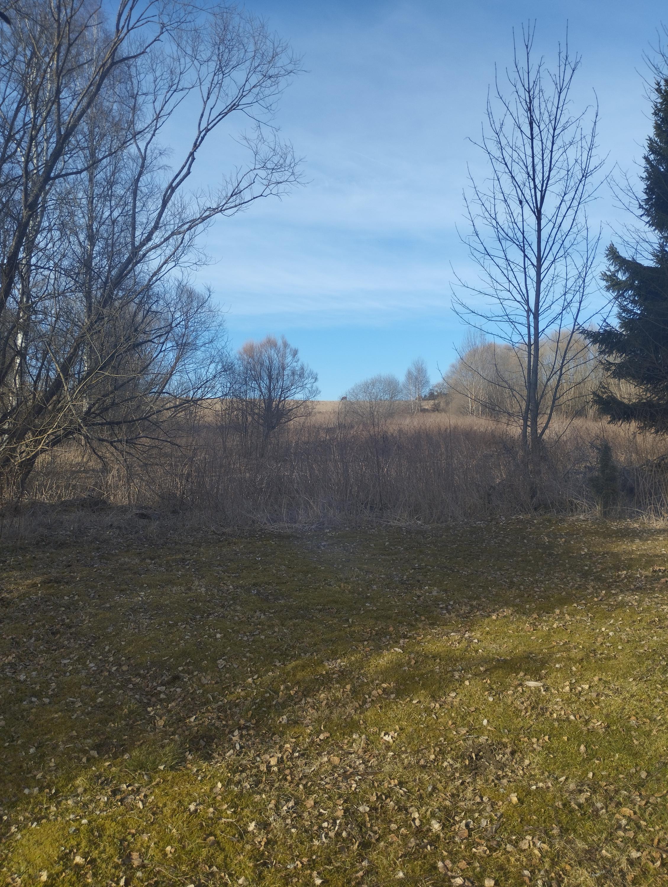 Apartmány Bělá 53 foto 2