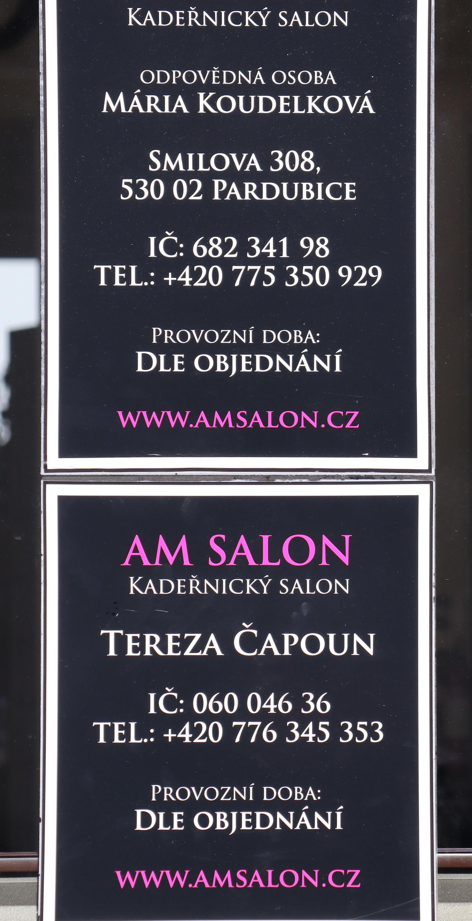 AM Salon foto 4