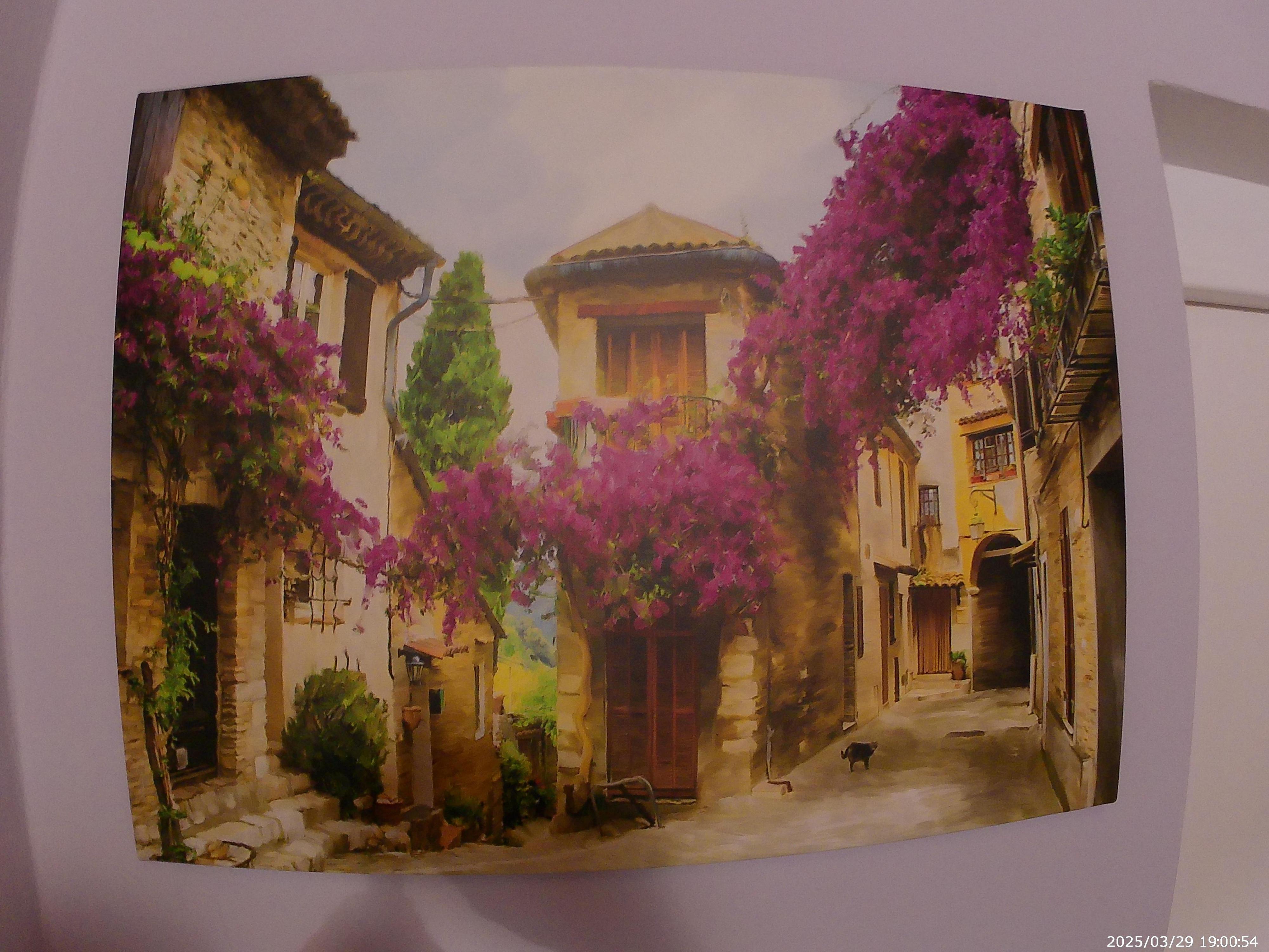 Pension Zuzana foto 4