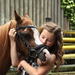 Sdružení pro hiporehabilitaci