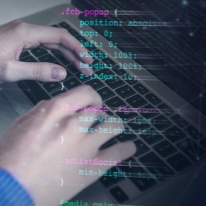 Development of software for schools