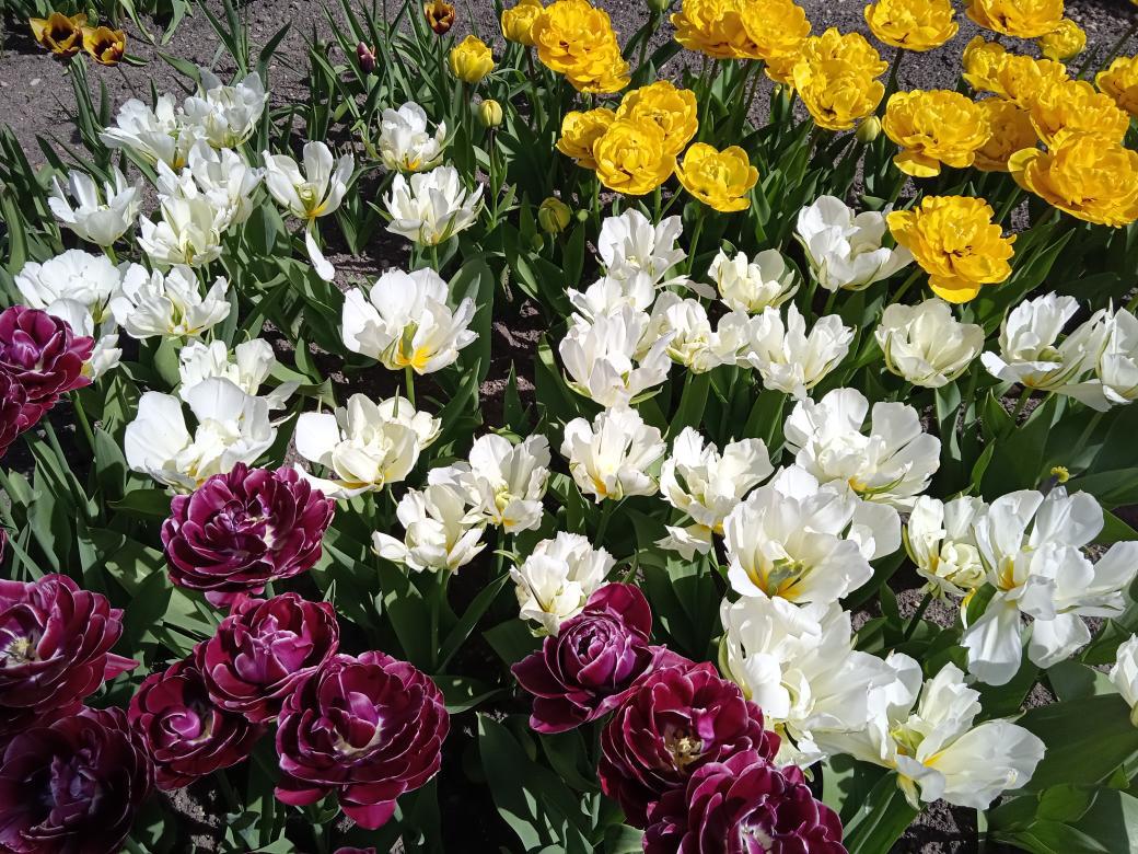 Rožnovská zahrada - Petr Míček foto 3