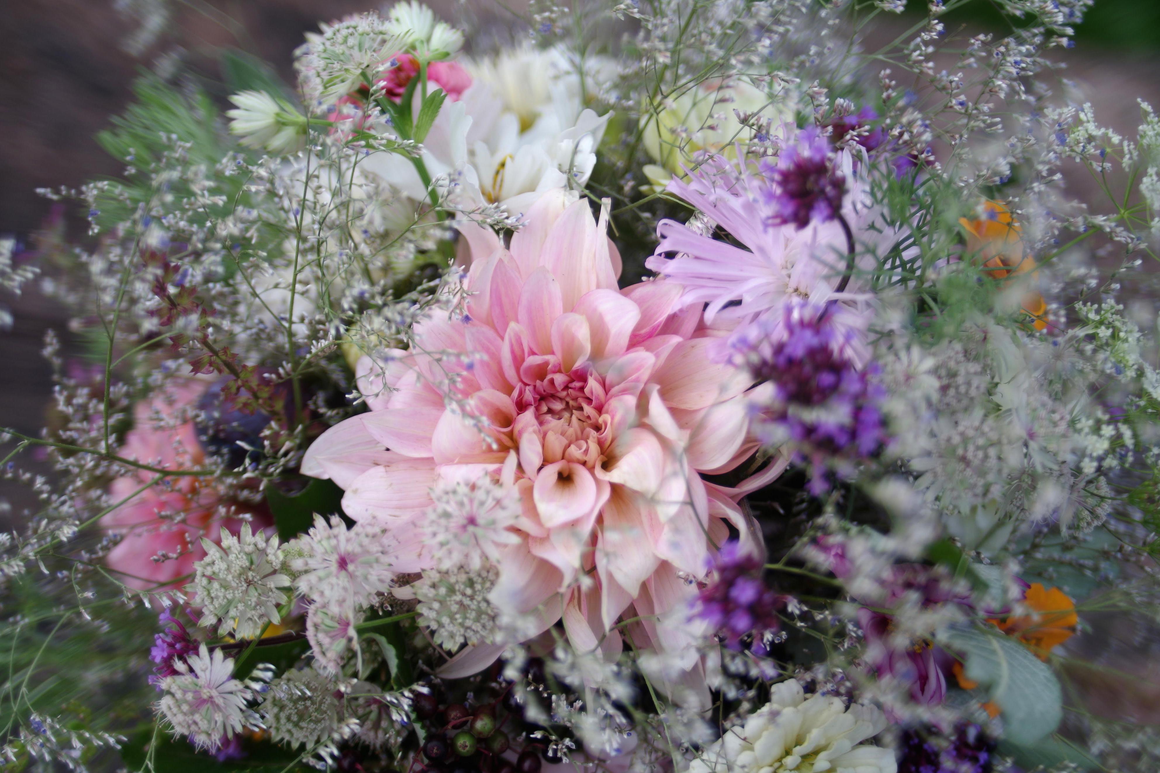 Ze zahrady - květinová farma