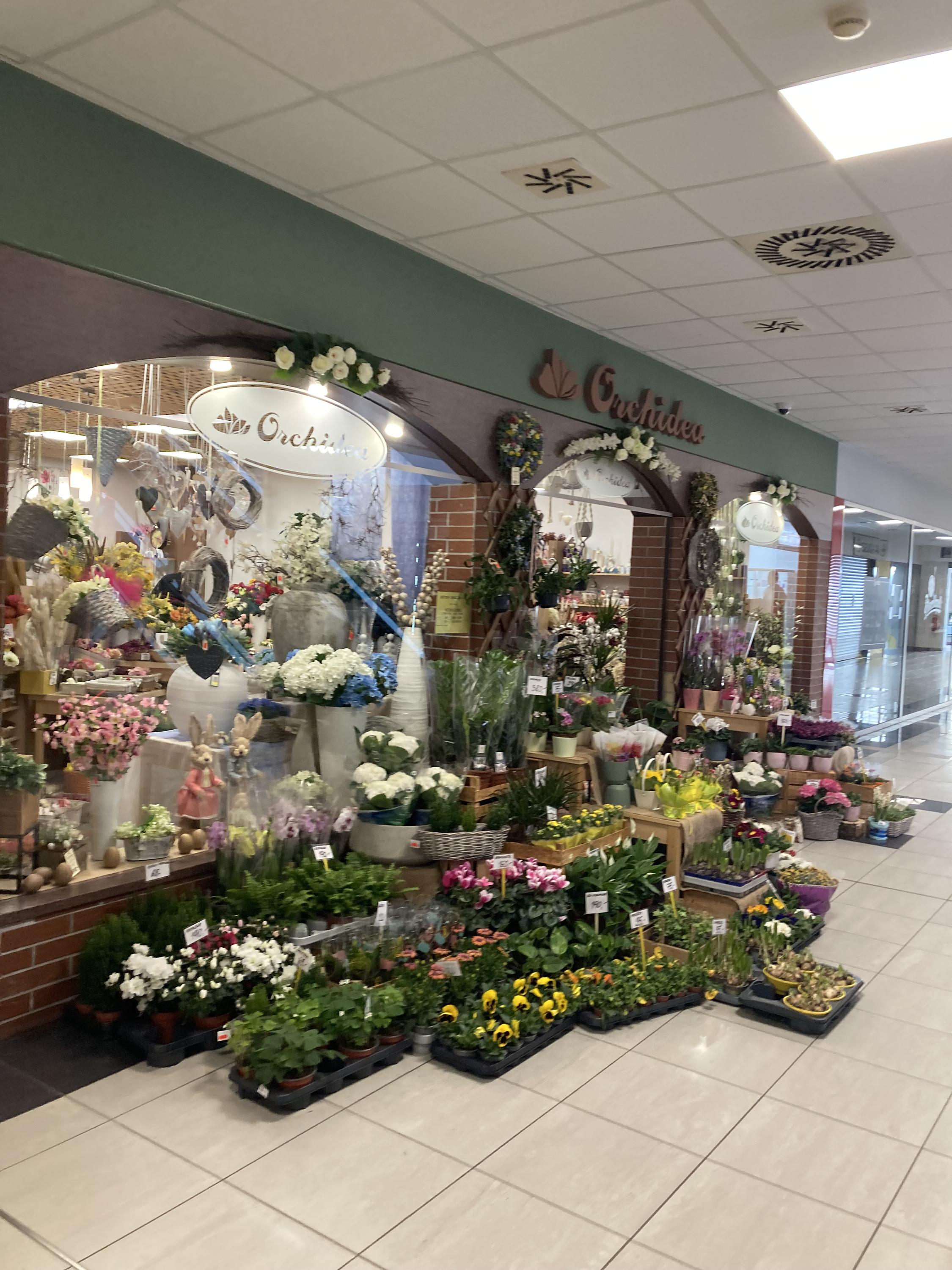 Květiny Orchidea, s.r.o. foto 2