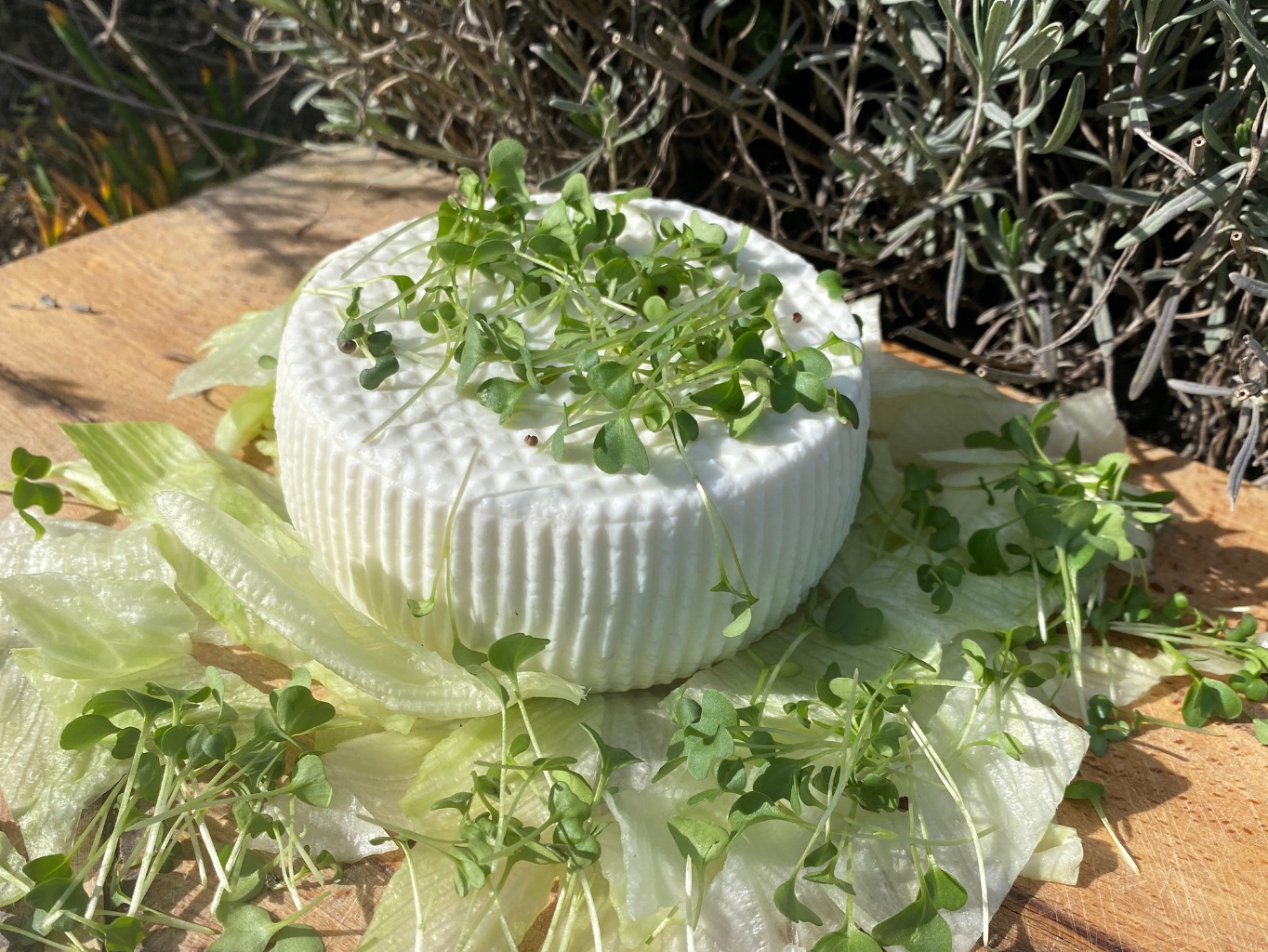 Vacheria - farma Kletečná foto 2