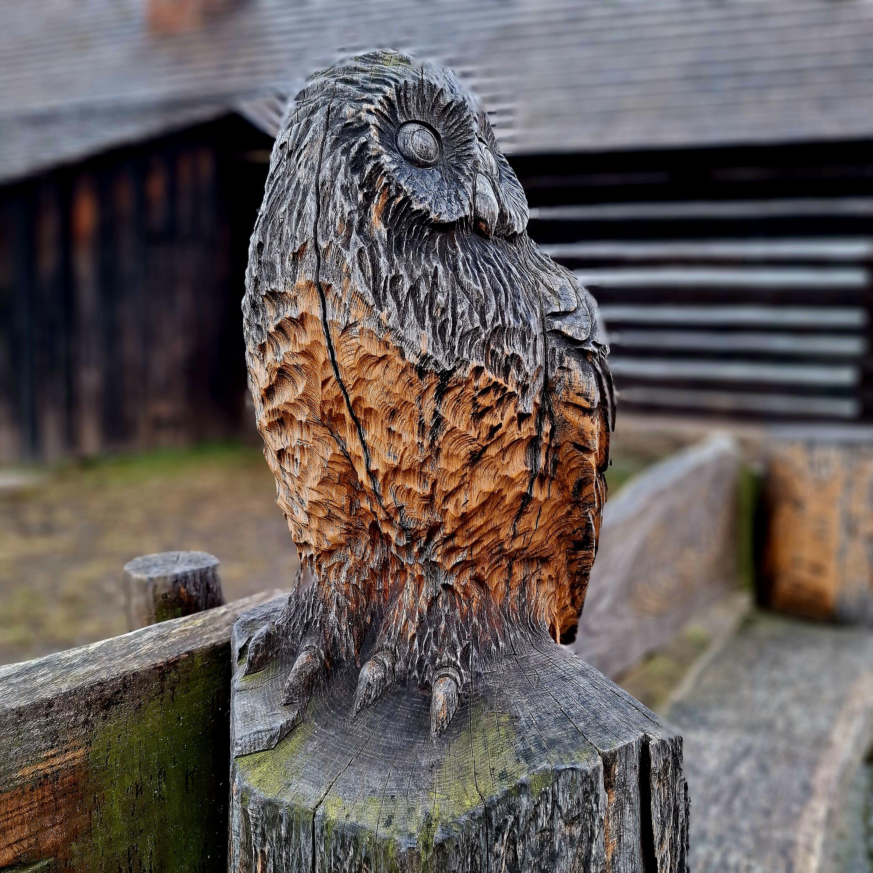 Muzeum v přírodě Vysočina - Betlém Hlinsko foto 6