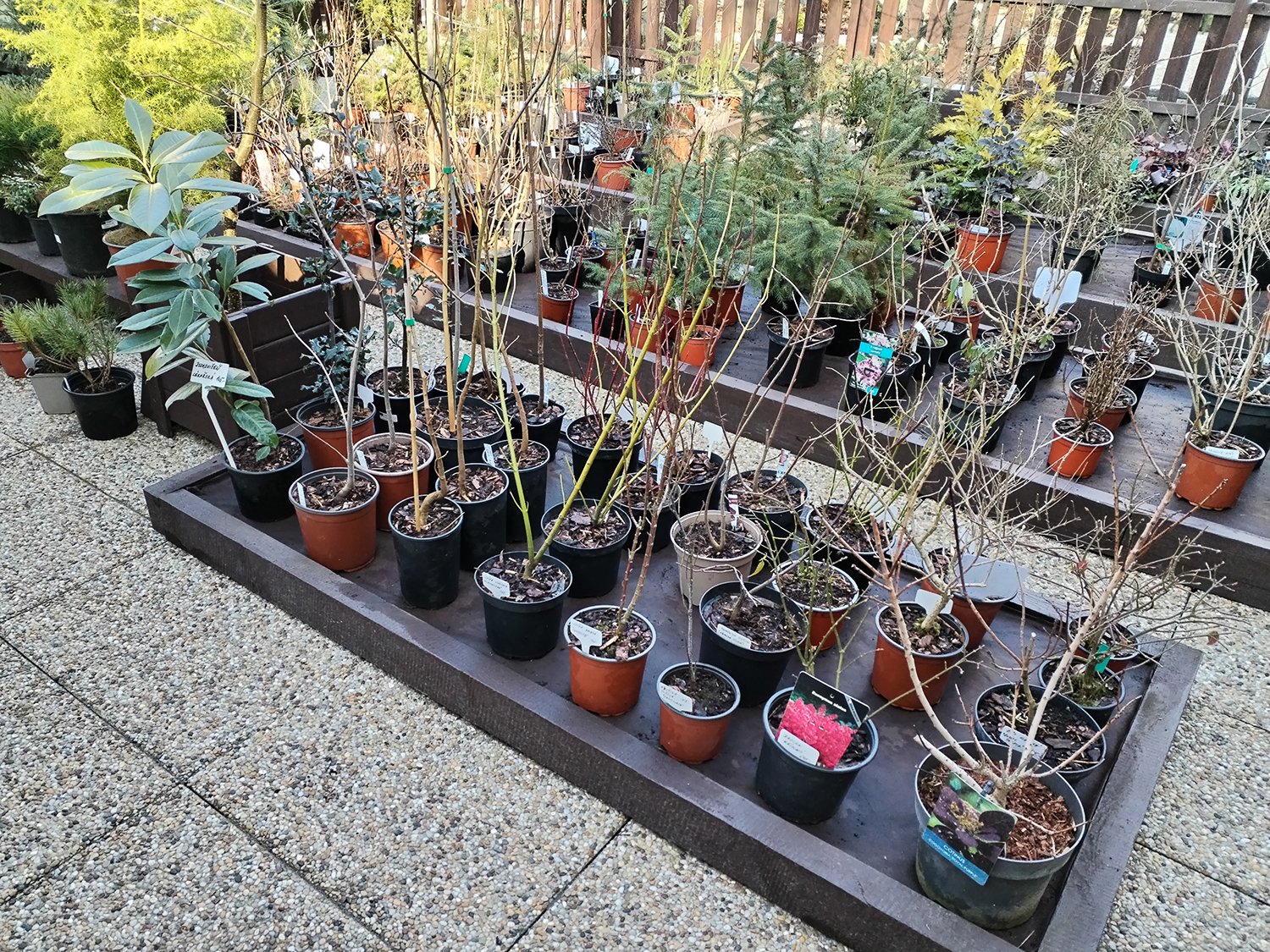 Zahrada Kdovíkde foto 3