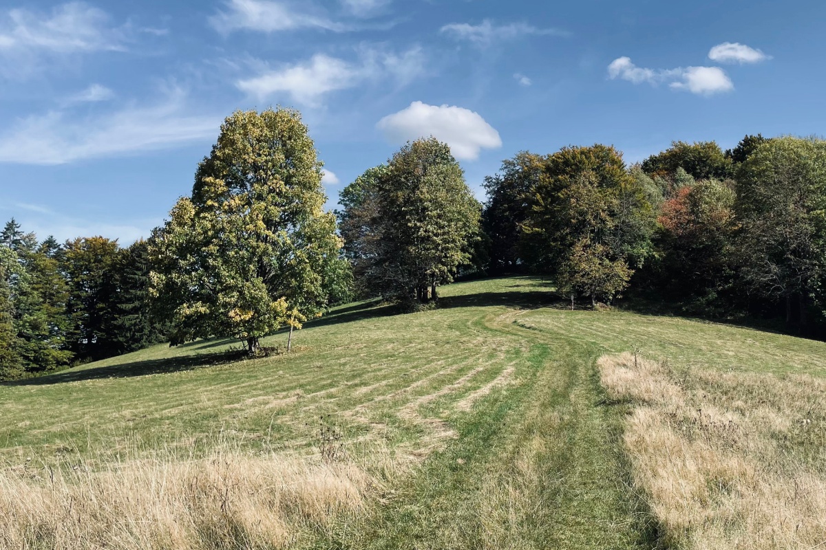 Cykloturistika v Beskydech