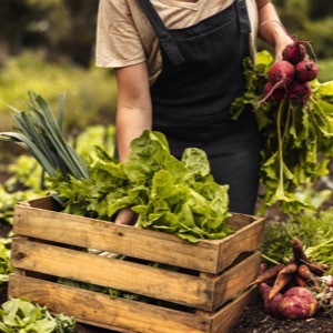 Fruit and vegetable boxes