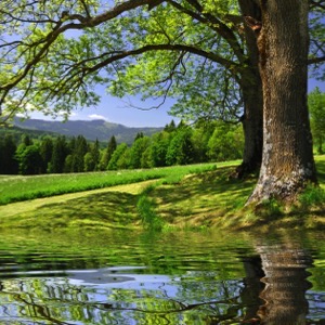 Správa národních parků a CHKO