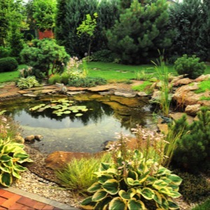 Prodej zahradních jezírek a příslušenství