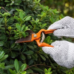 Green maintenance and reclamation