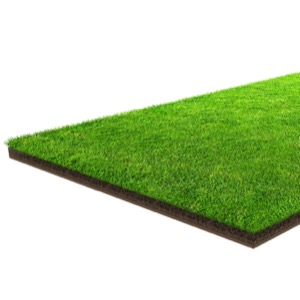 Umělé trávníky a travní koberce