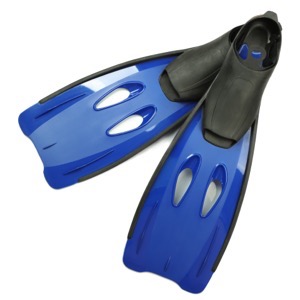 Sellers of diving gear and equipment