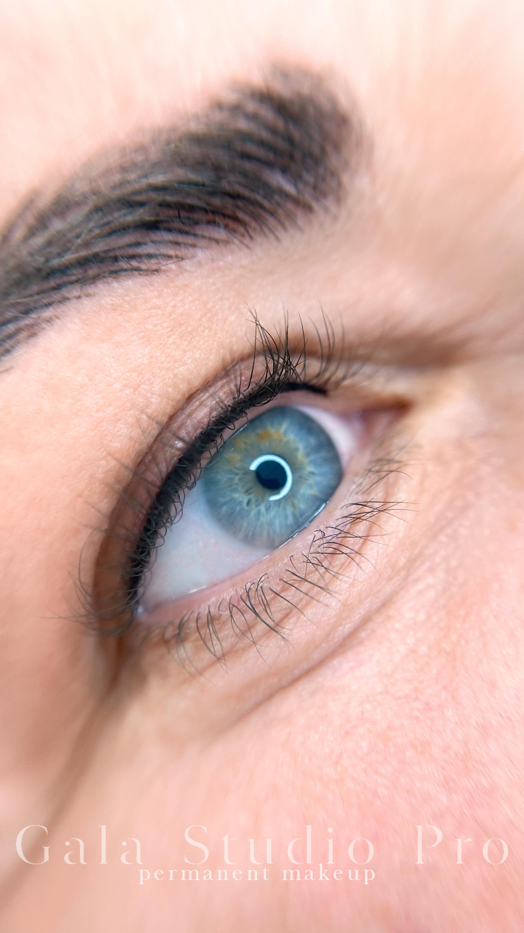 GalaStudio PRO -  Profesionální permanentní make-up foto 5