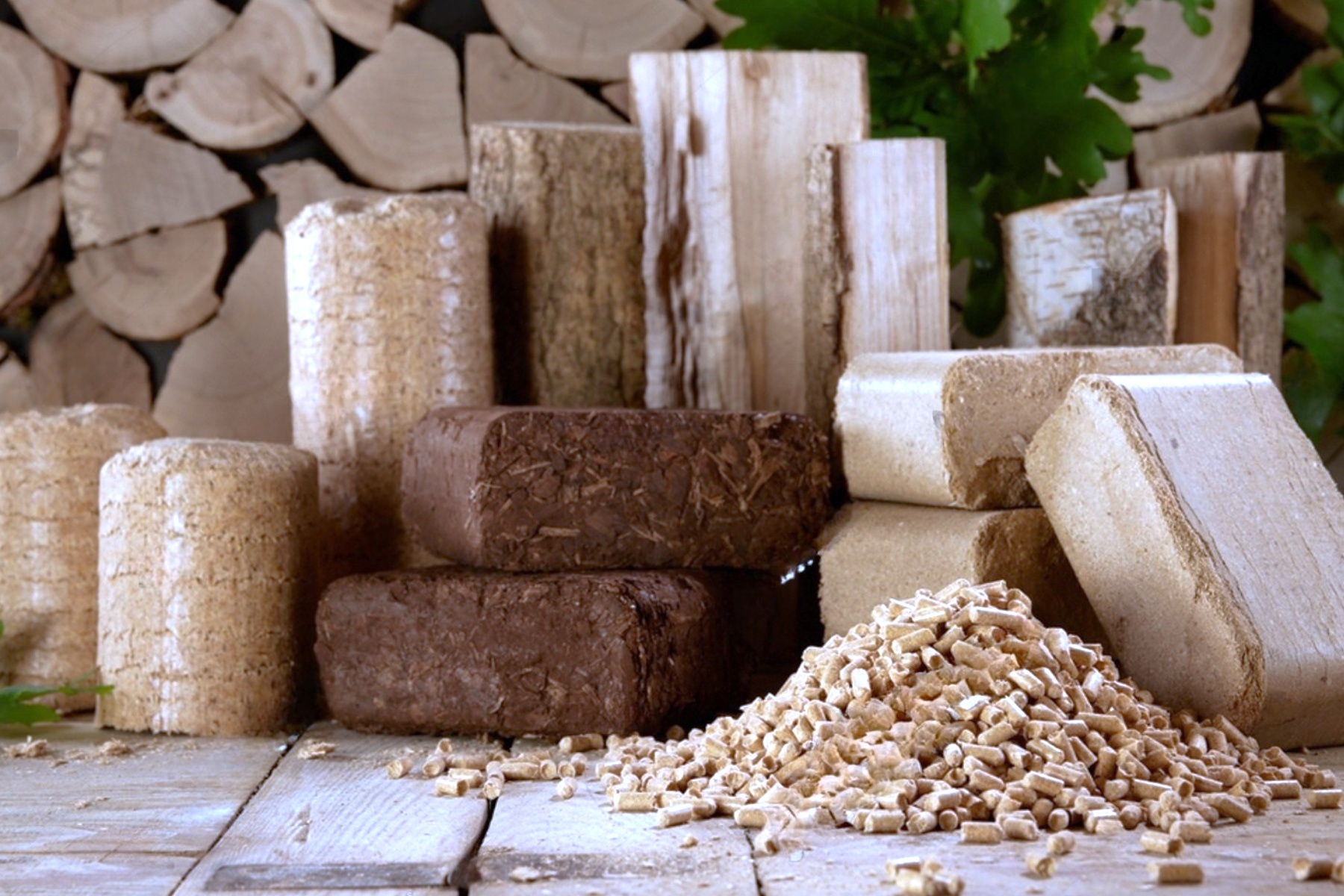 BIOMAC s.r.o. foto 4