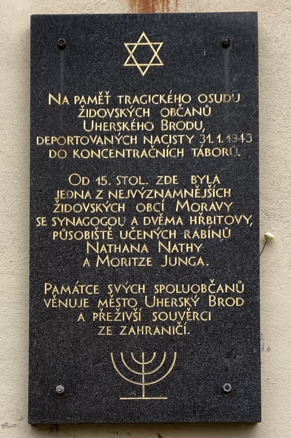 Katolická ZŠ v Uherském Brodě foto 6