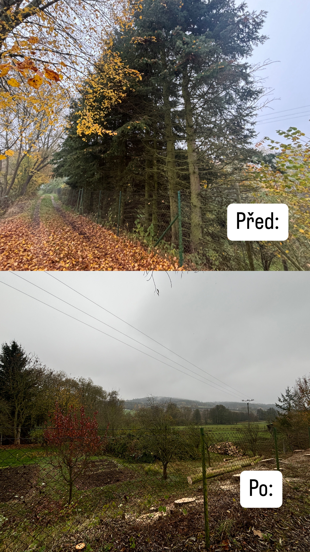 Rizikové kácení Martin Homolka foto 4