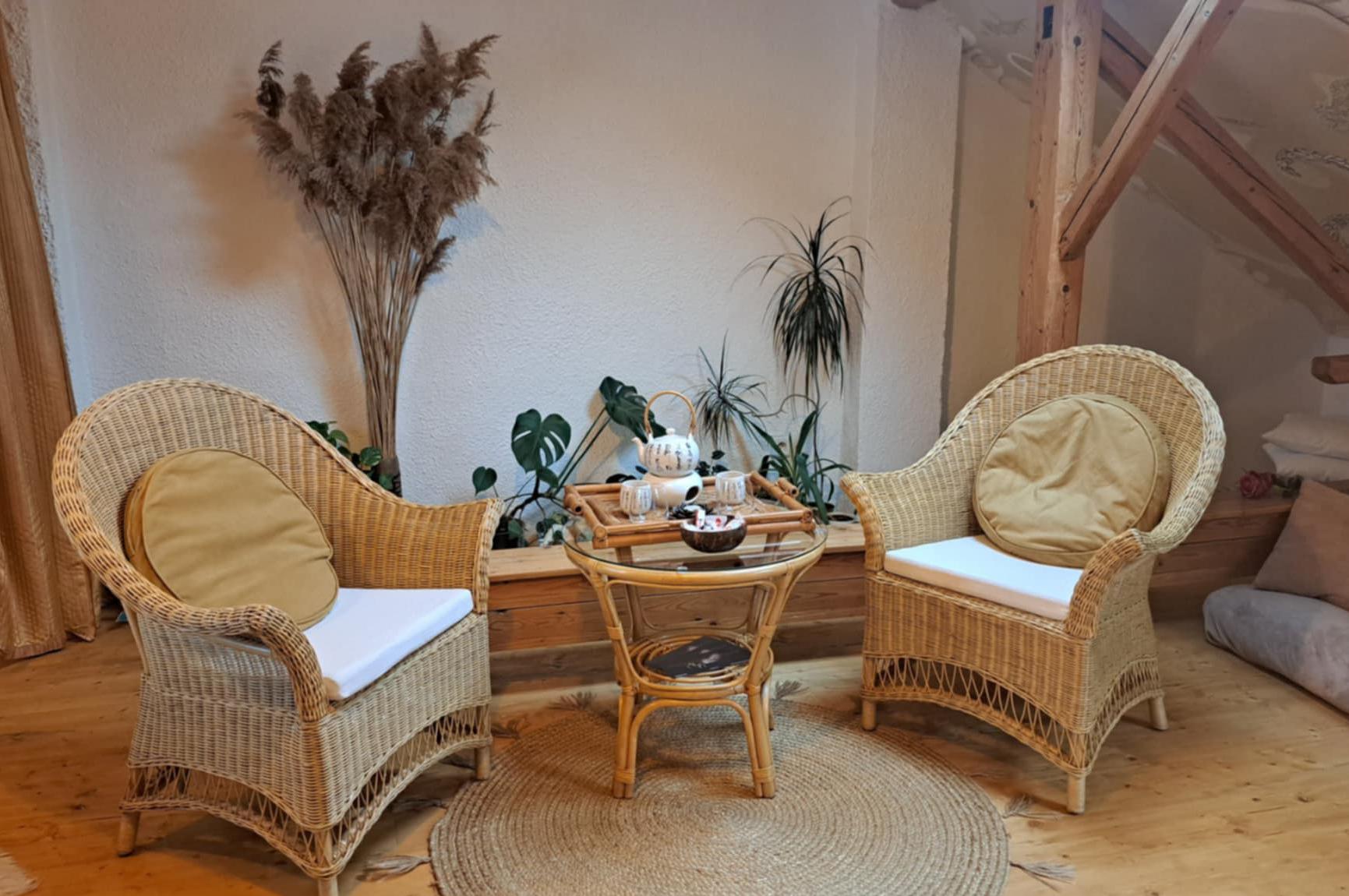 Elena Jaru Hajná Bc.