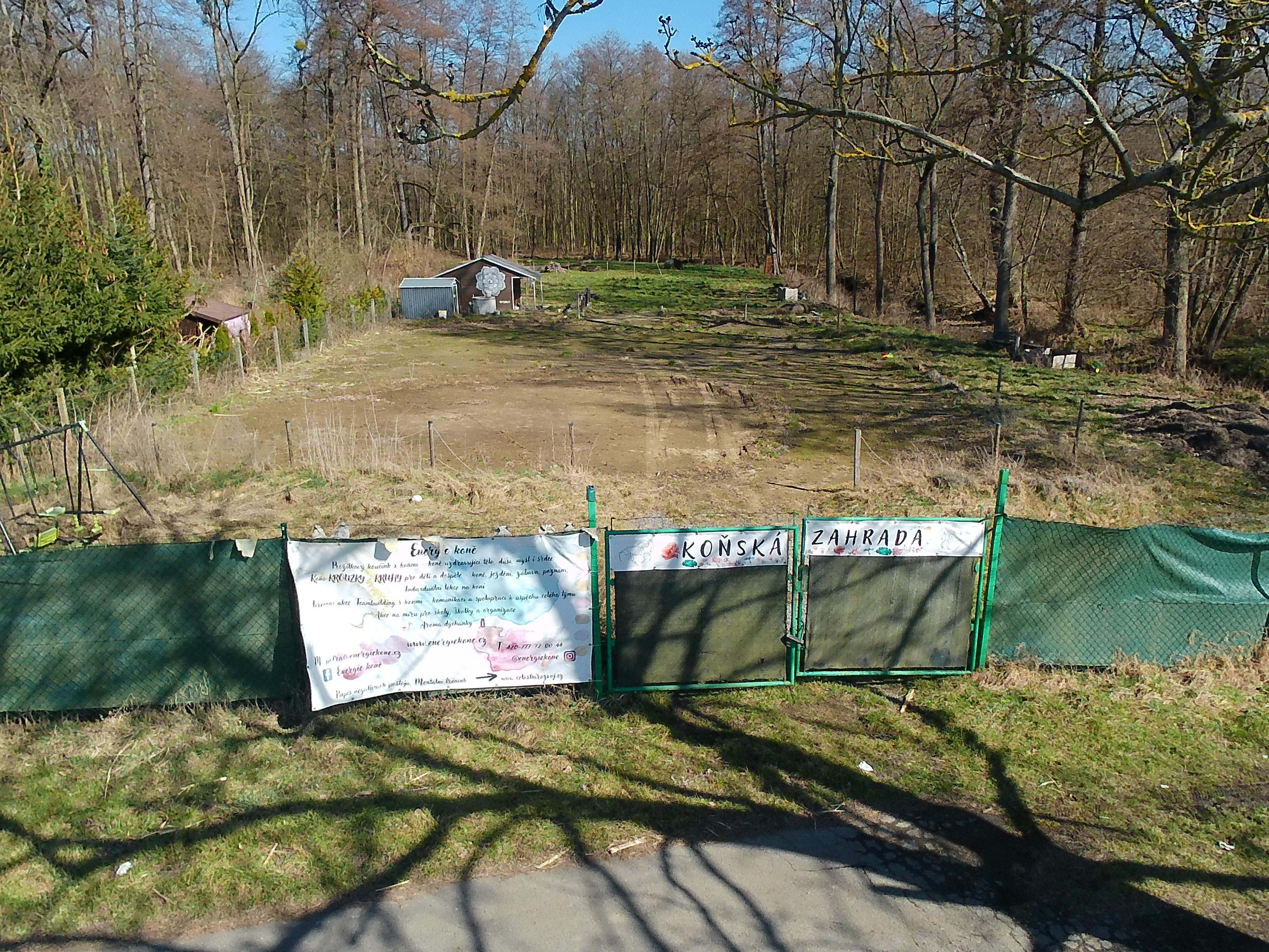 Energie koně - Petra Hynková foto 2